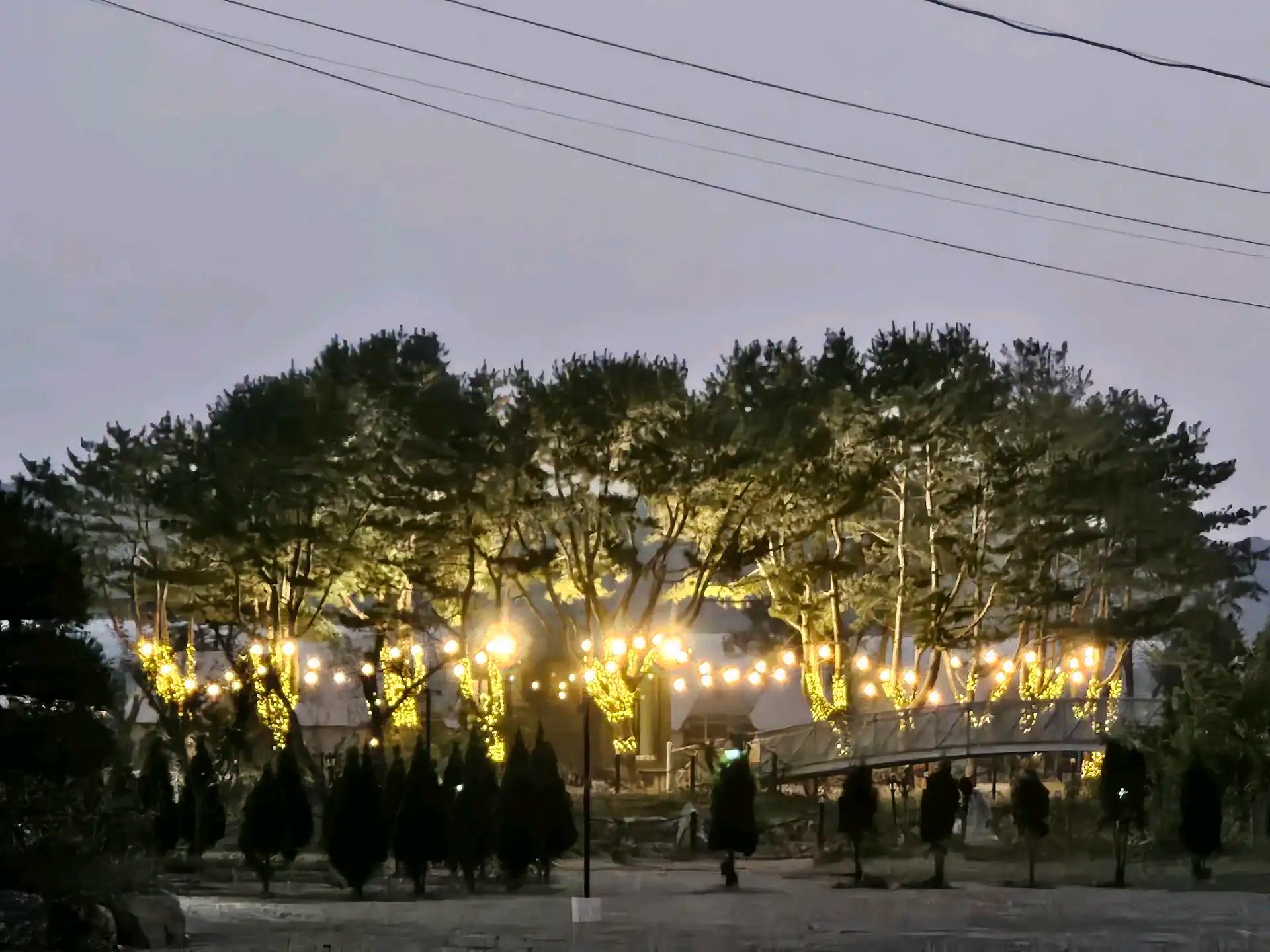 크루톡 이미지