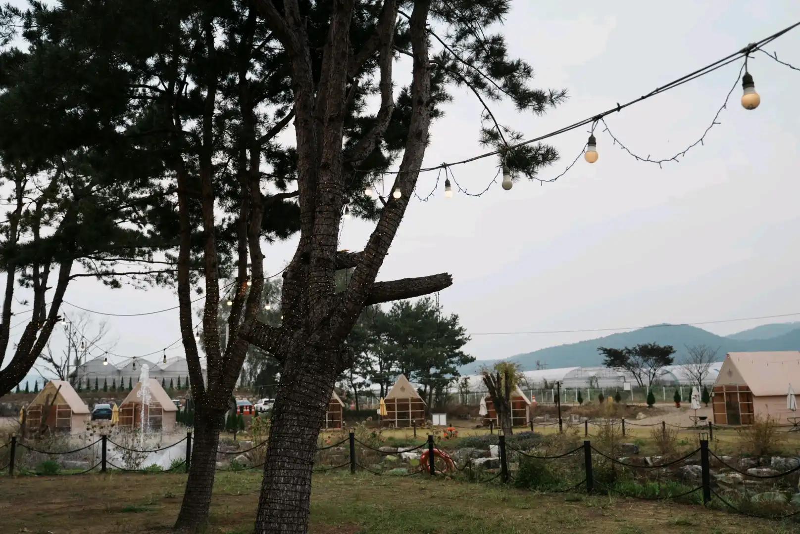 크루톡 이미지 2