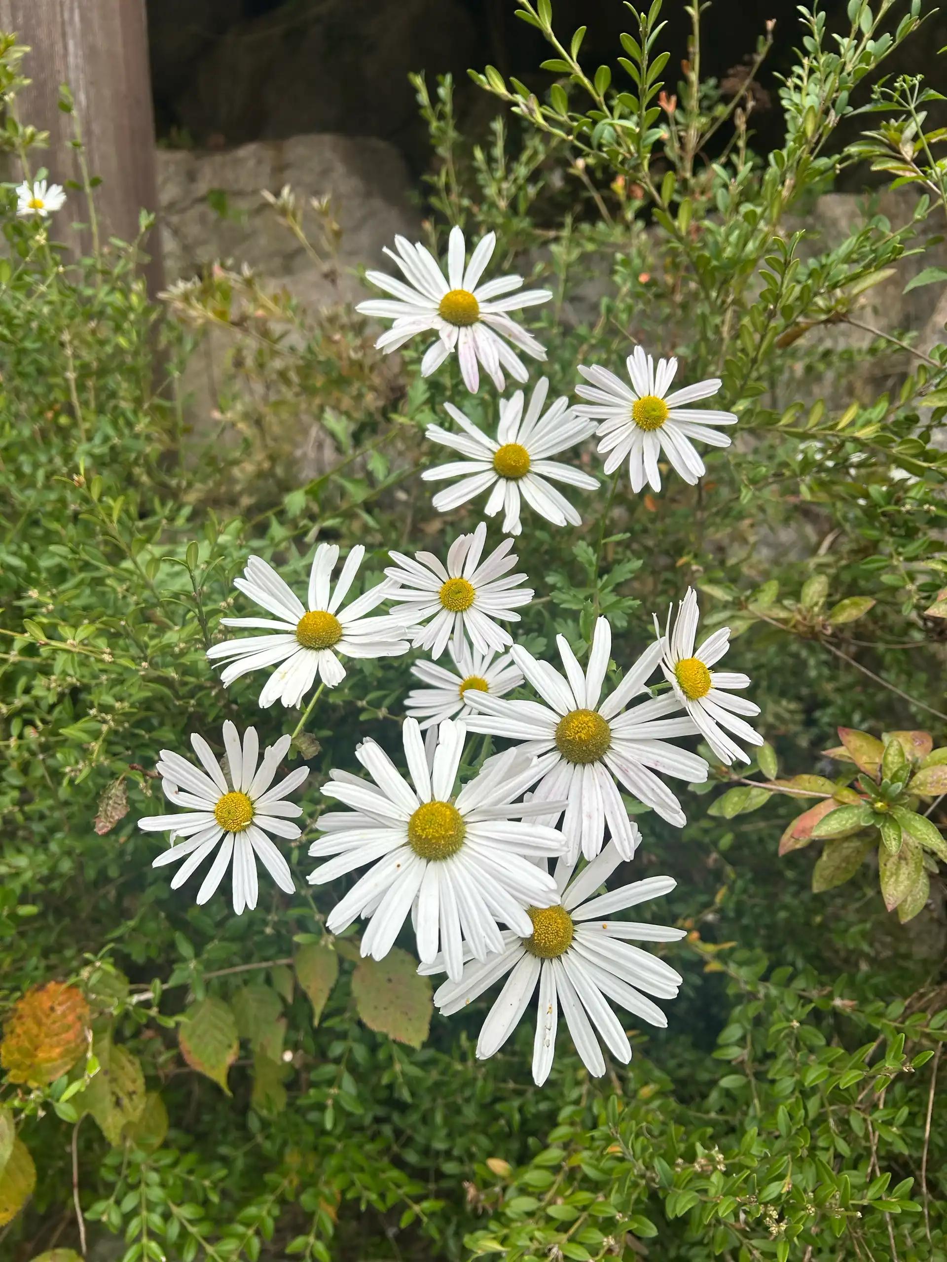 크루톡 이미지 6