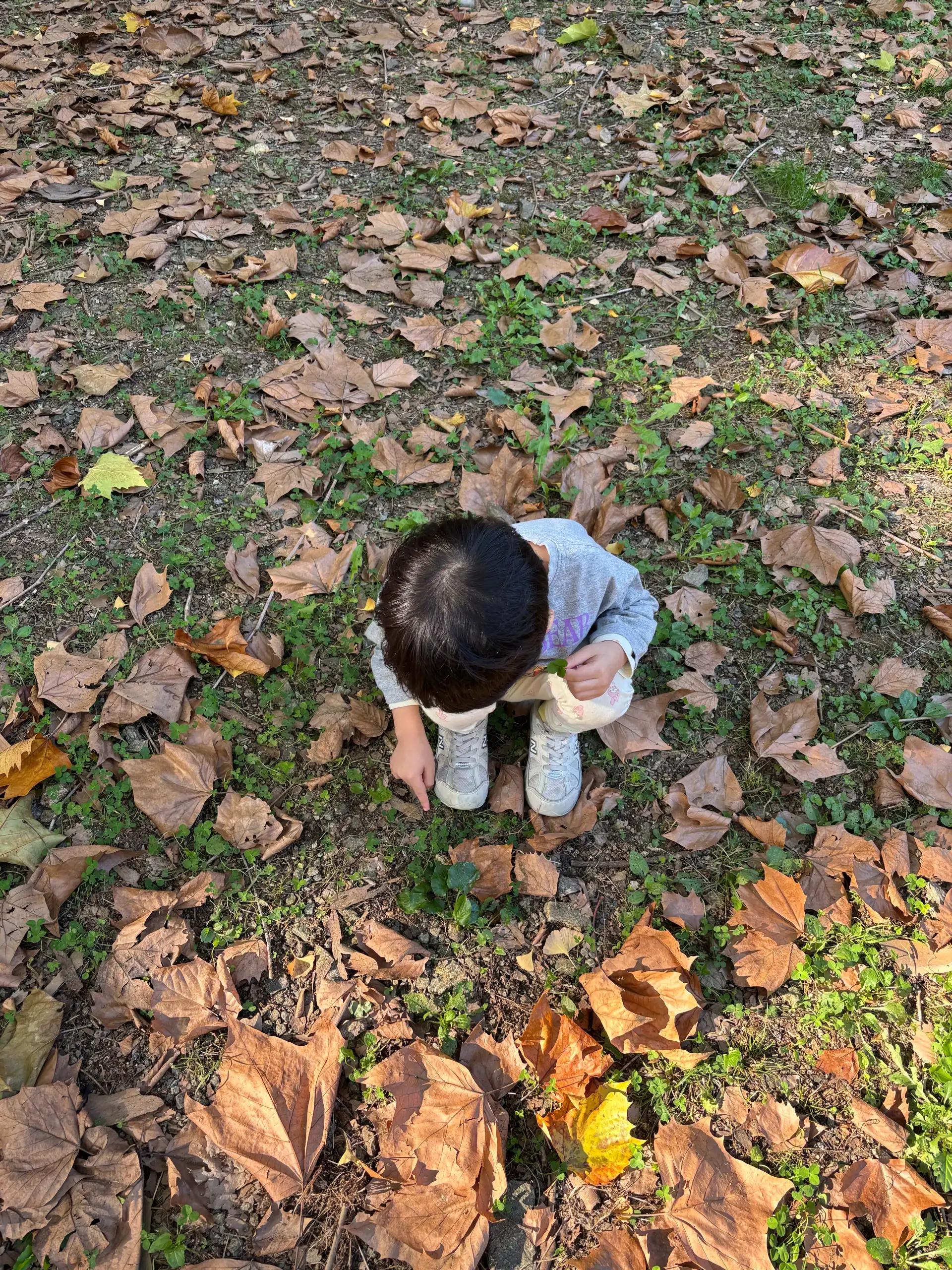 크루톡 이미지