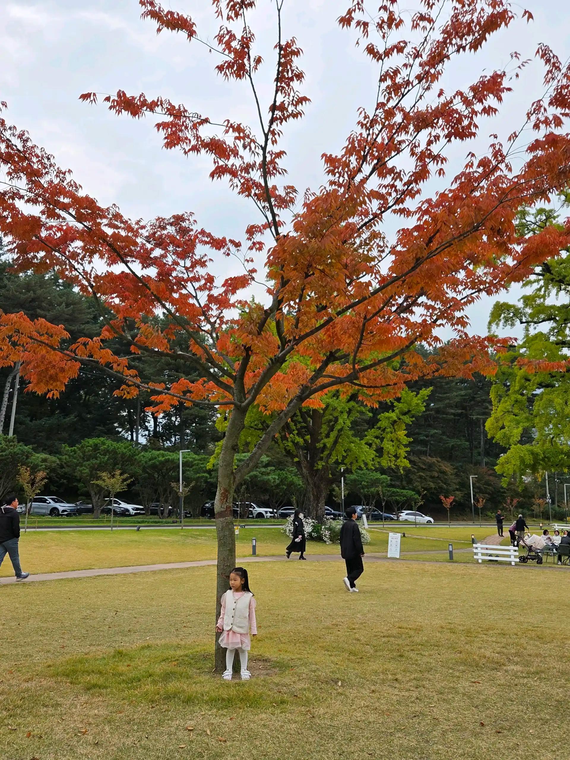 크루톡 이미지