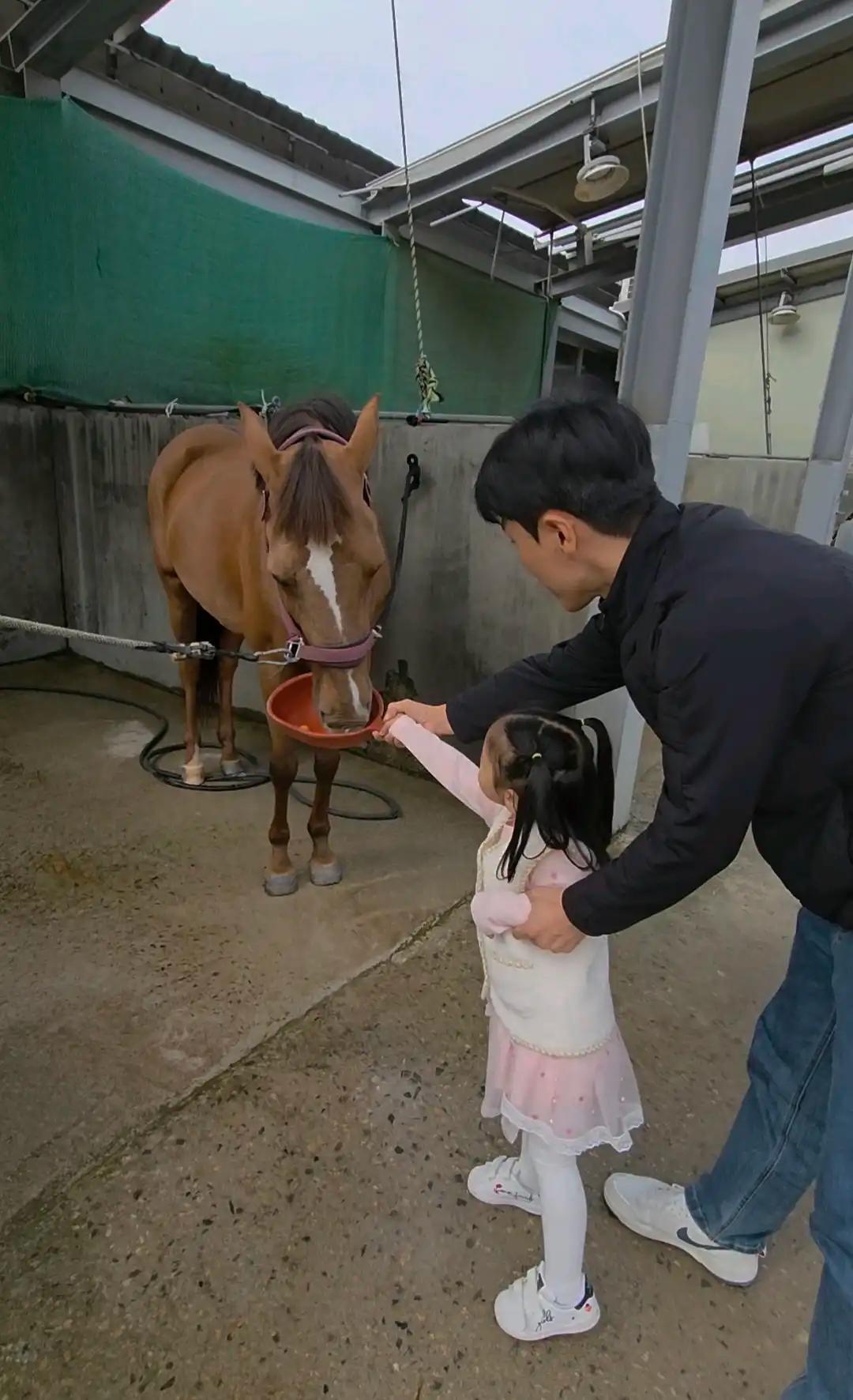 크루톡 이미지 4