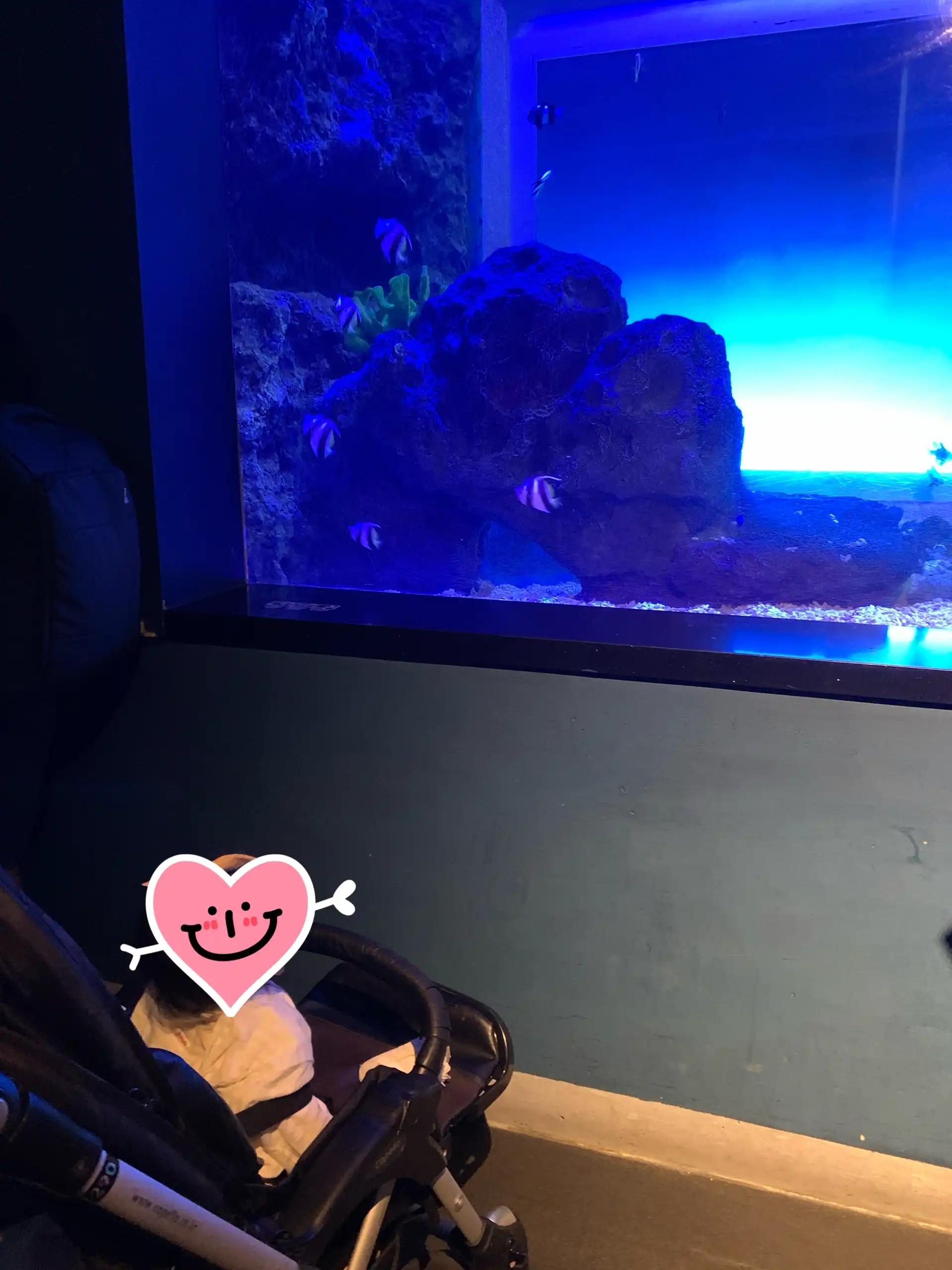 크루톡 이미지