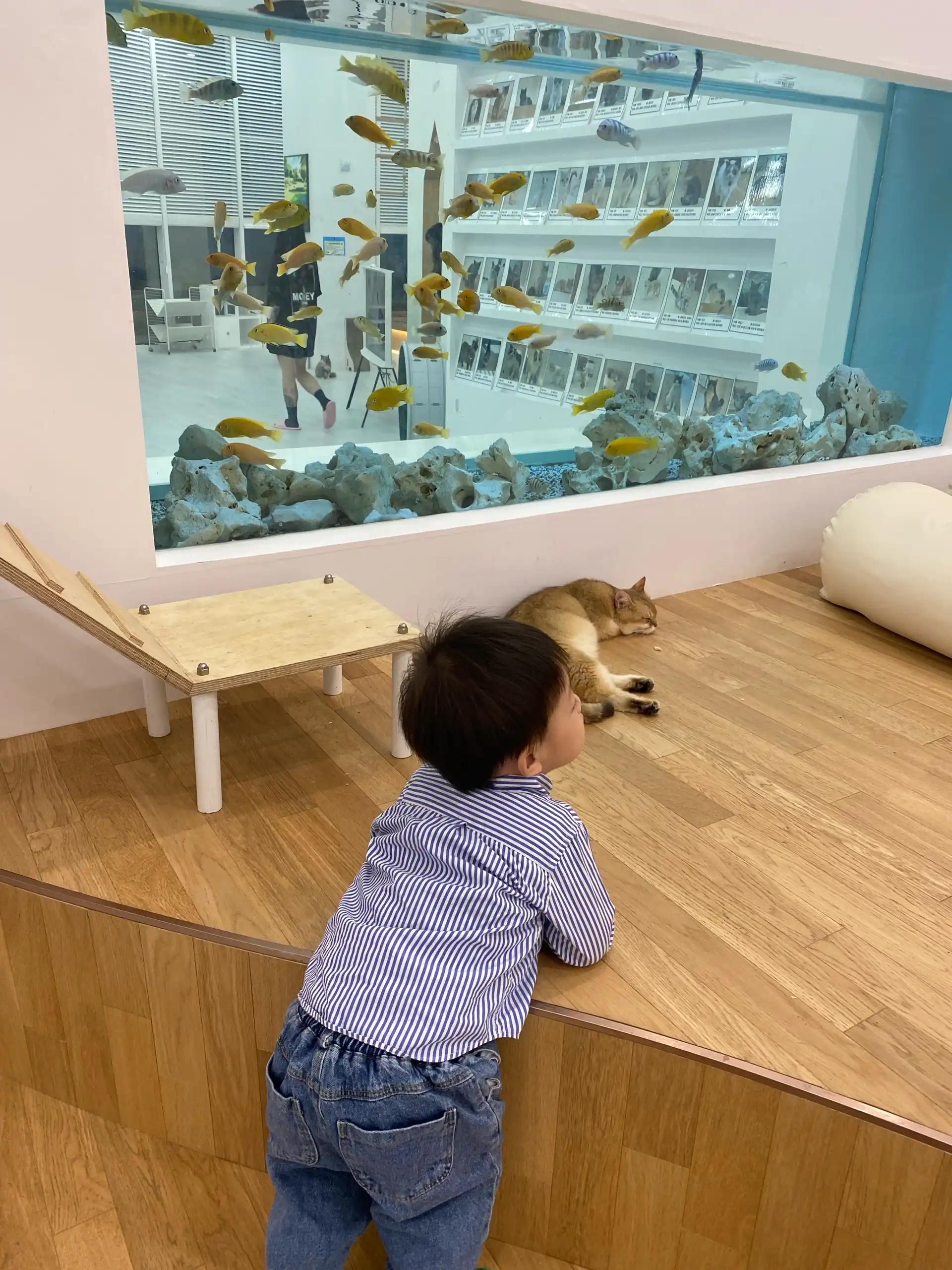 크루톡 이미지 3