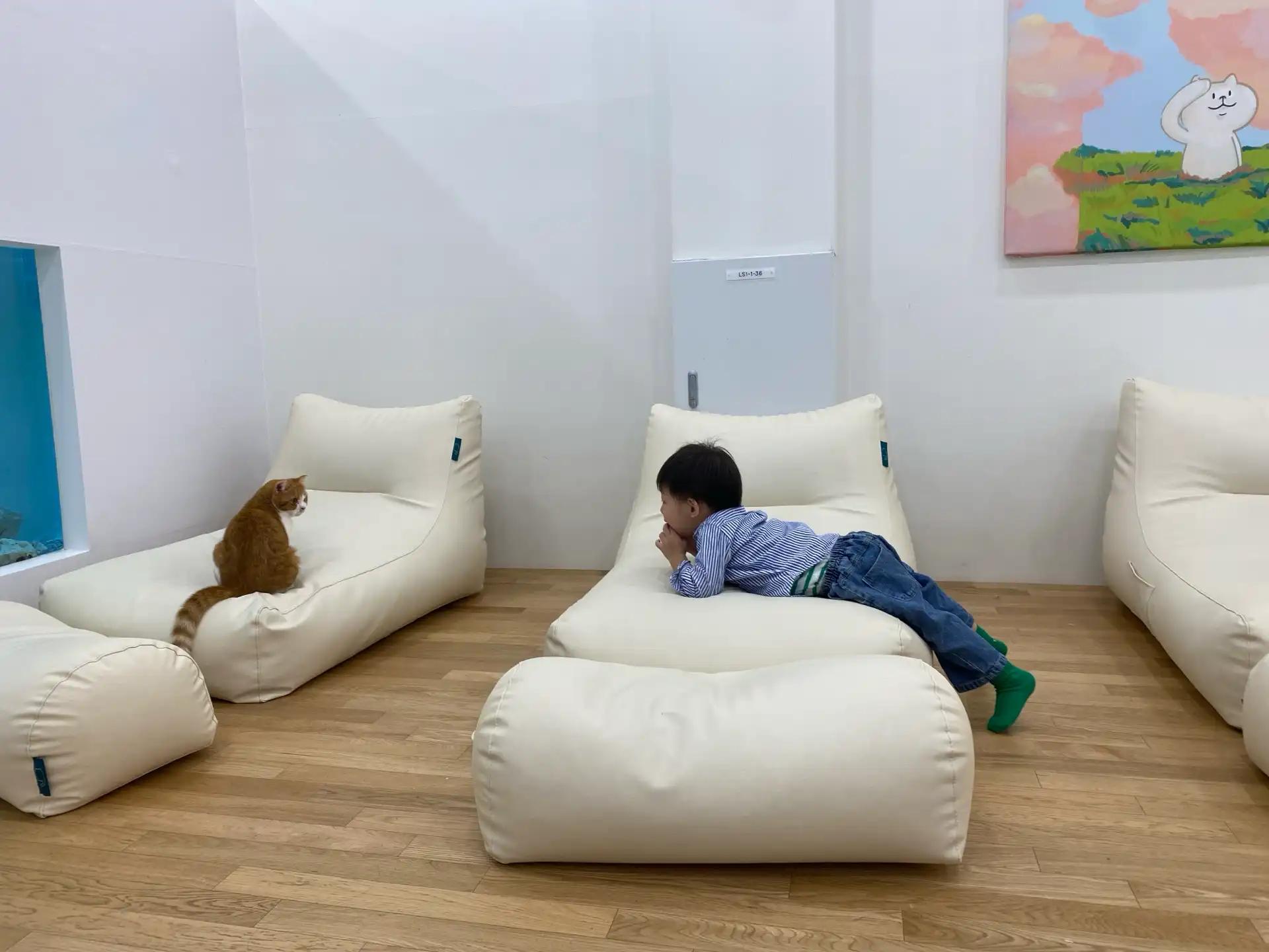 크루톡 이미지 4