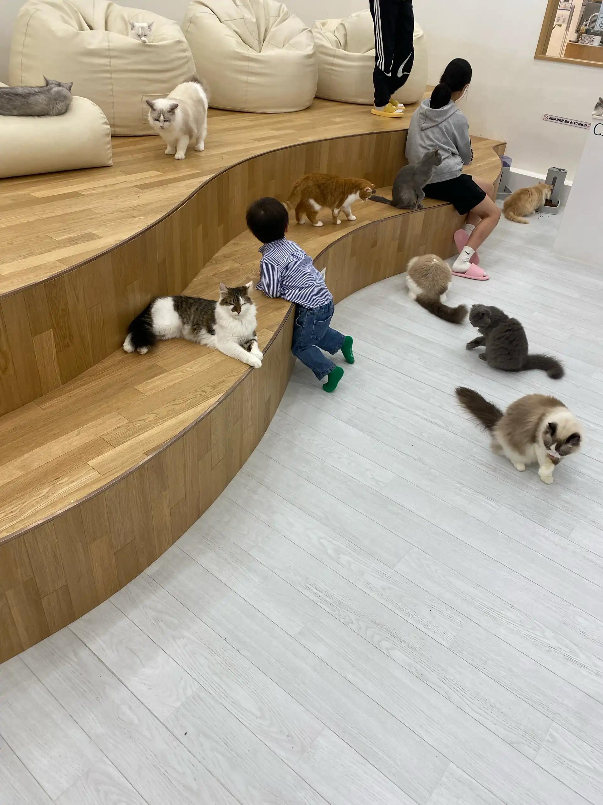 크루톡 이미지 5