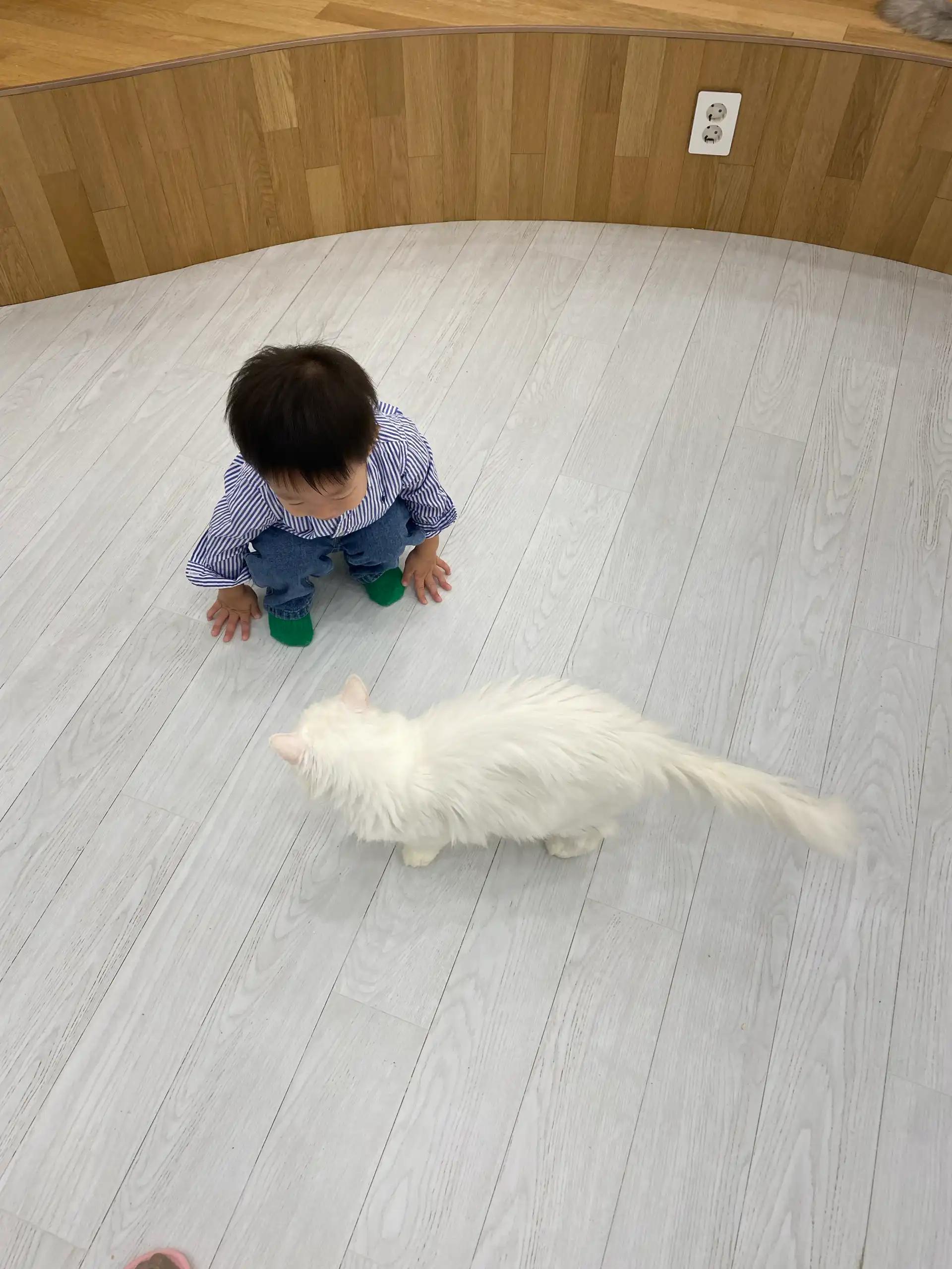 크루톡 이미지 6