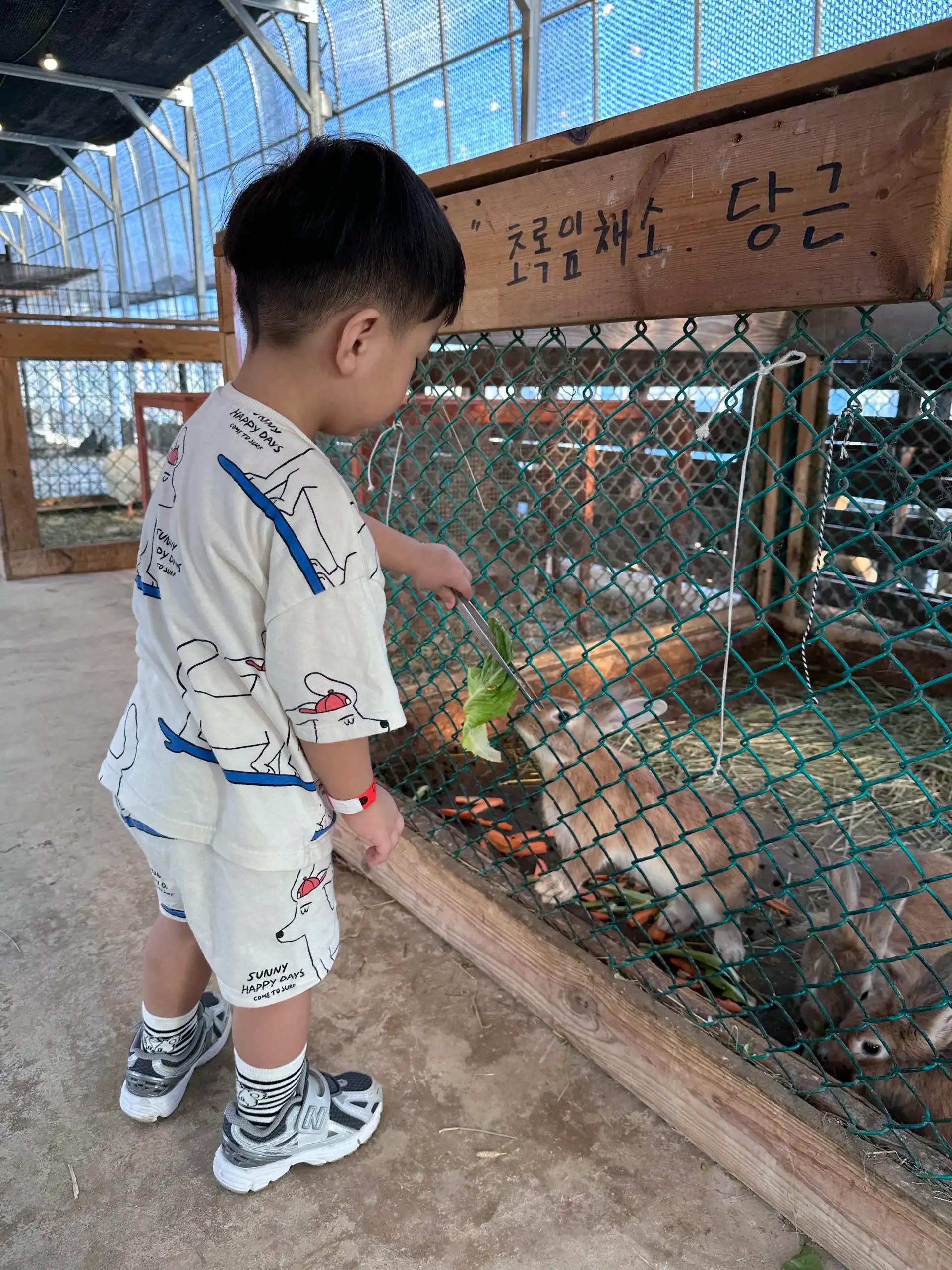 크루톡 이미지 2