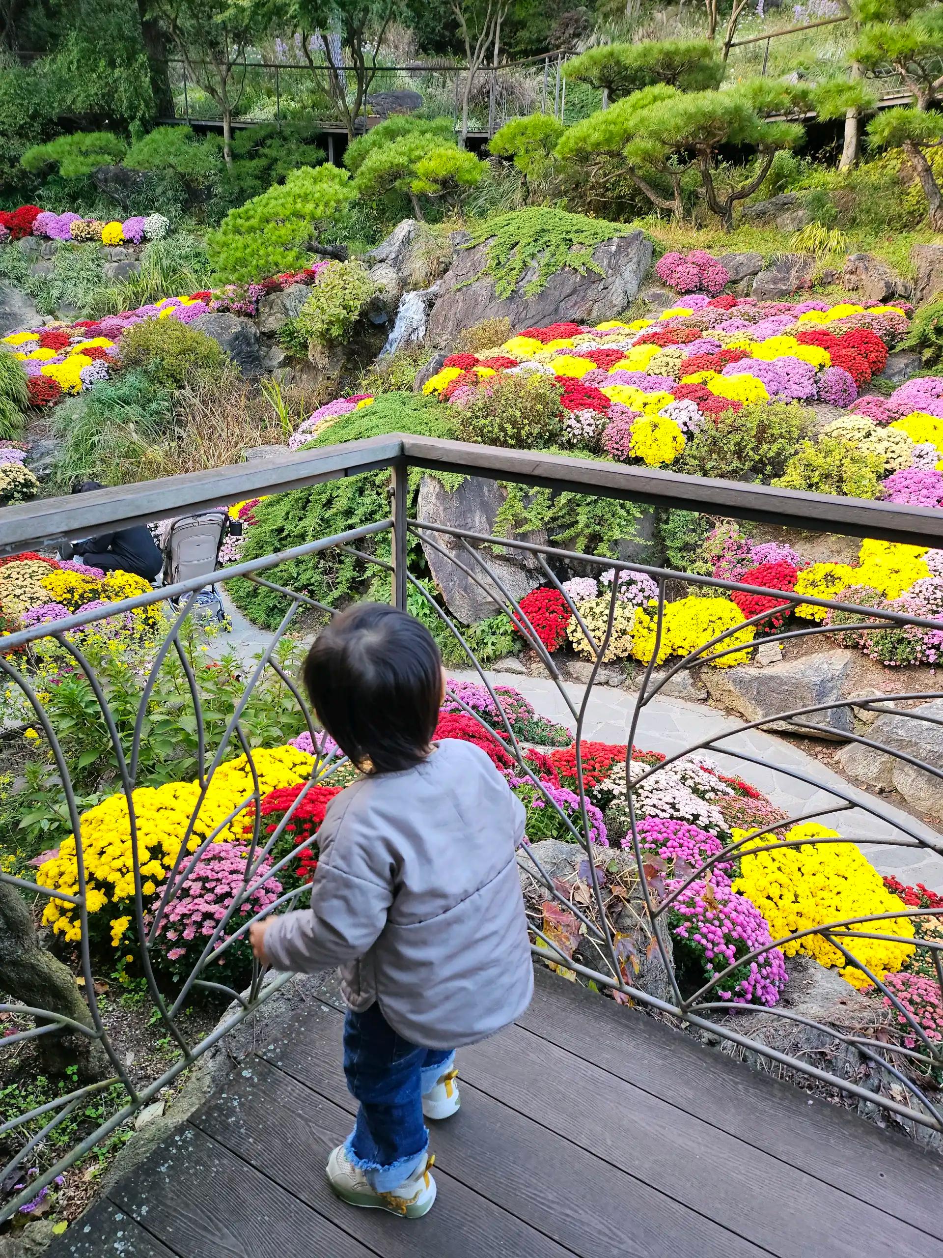 ํฌ๋ฃจํก ์ด๋ฏธ์ง 2