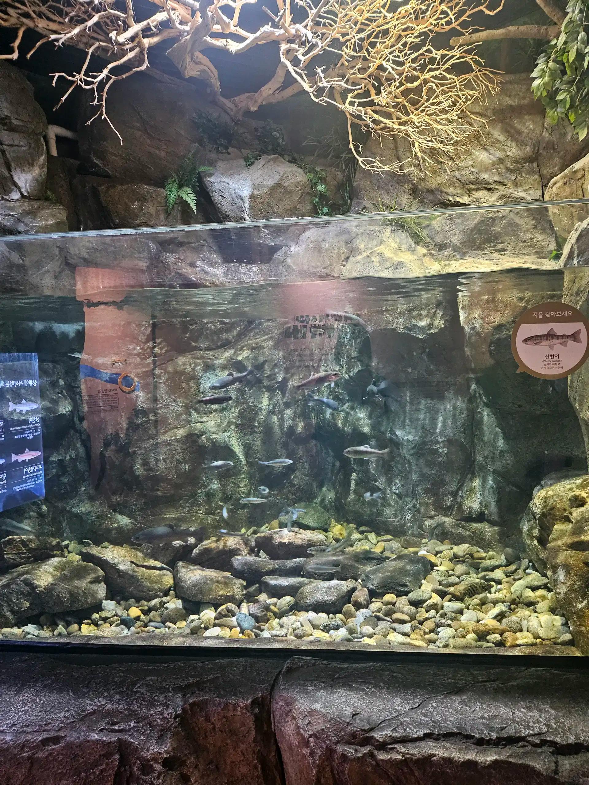 ํฌ๋ฃจํก ์ด๋ฏธ์ง 3