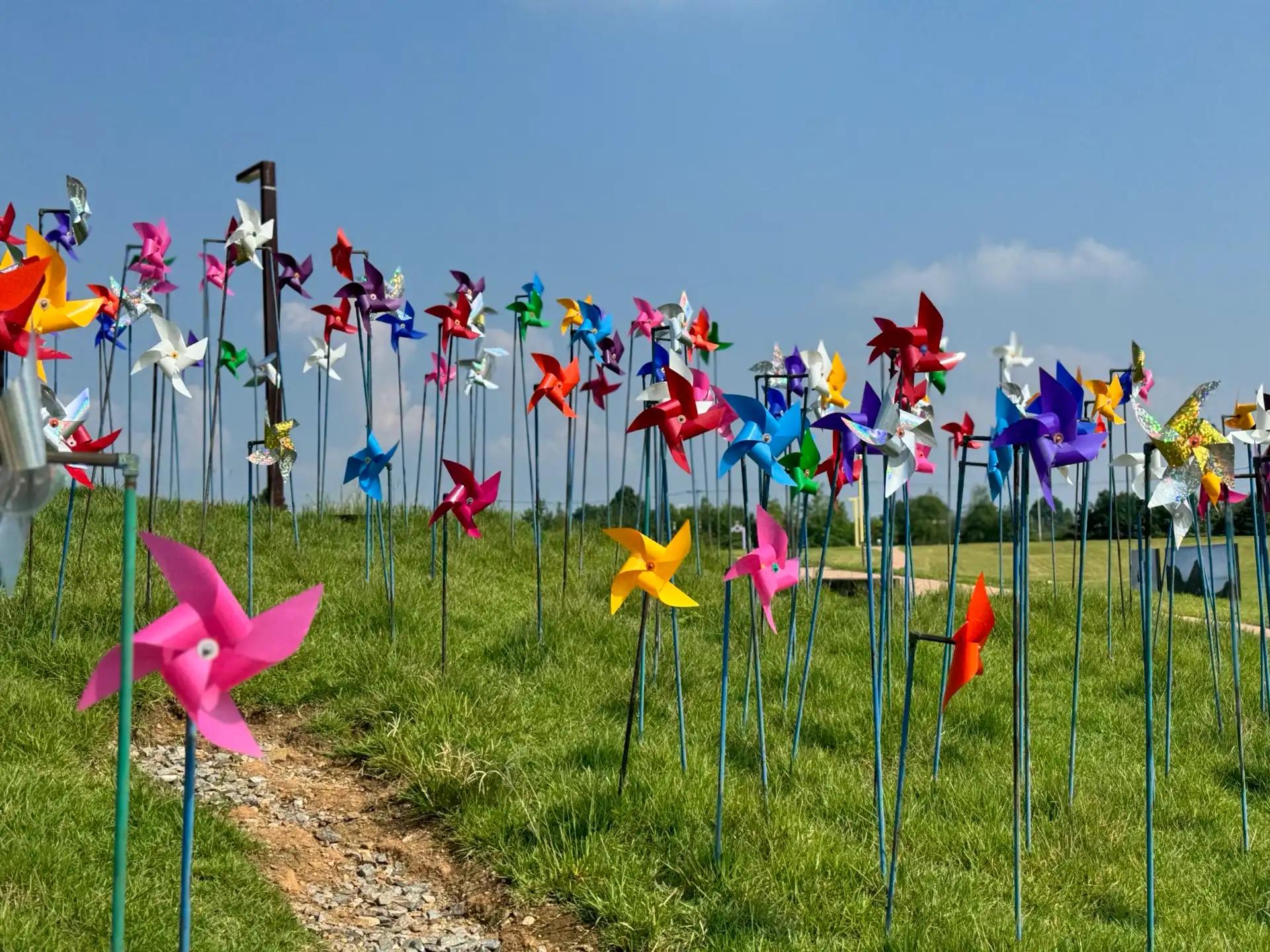 ํฌ๋ฃจํก ์ด๋ฏธ์ง 2