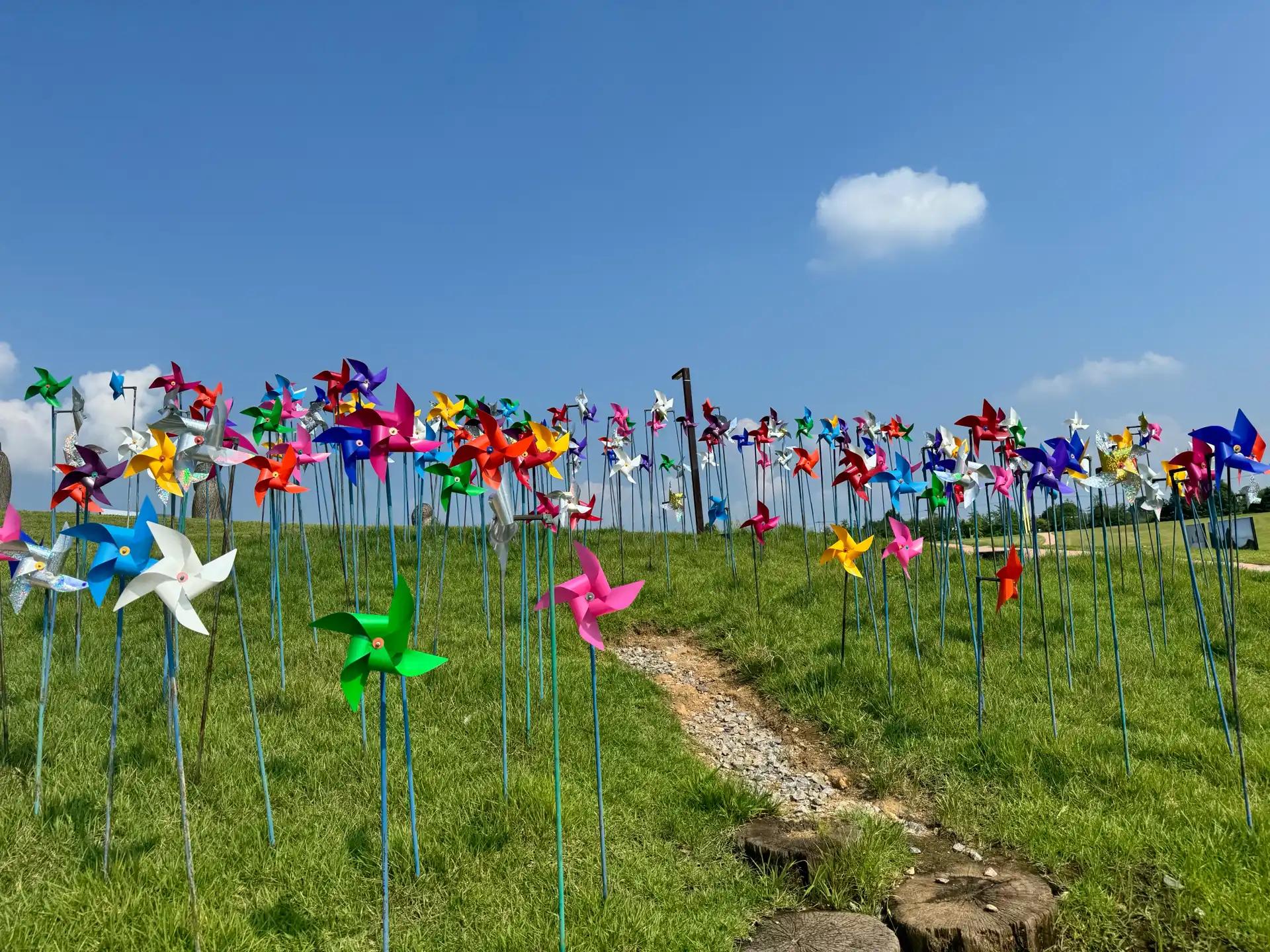 ํฌ๋ฃจํก ์ด๋ฏธ์ง 3