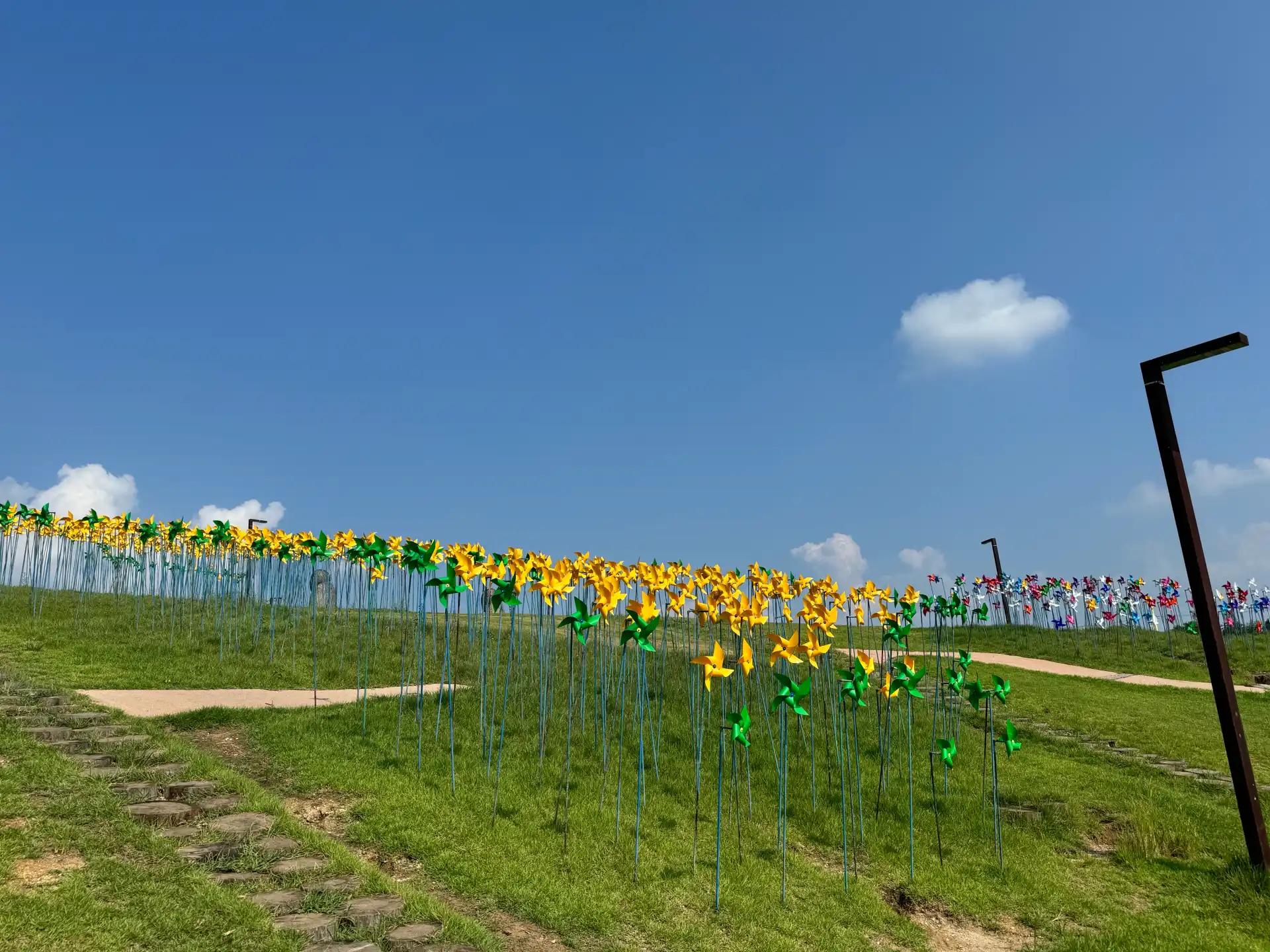 ํฌ๋ฃจํก ์ด๋ฏธ์ง 4