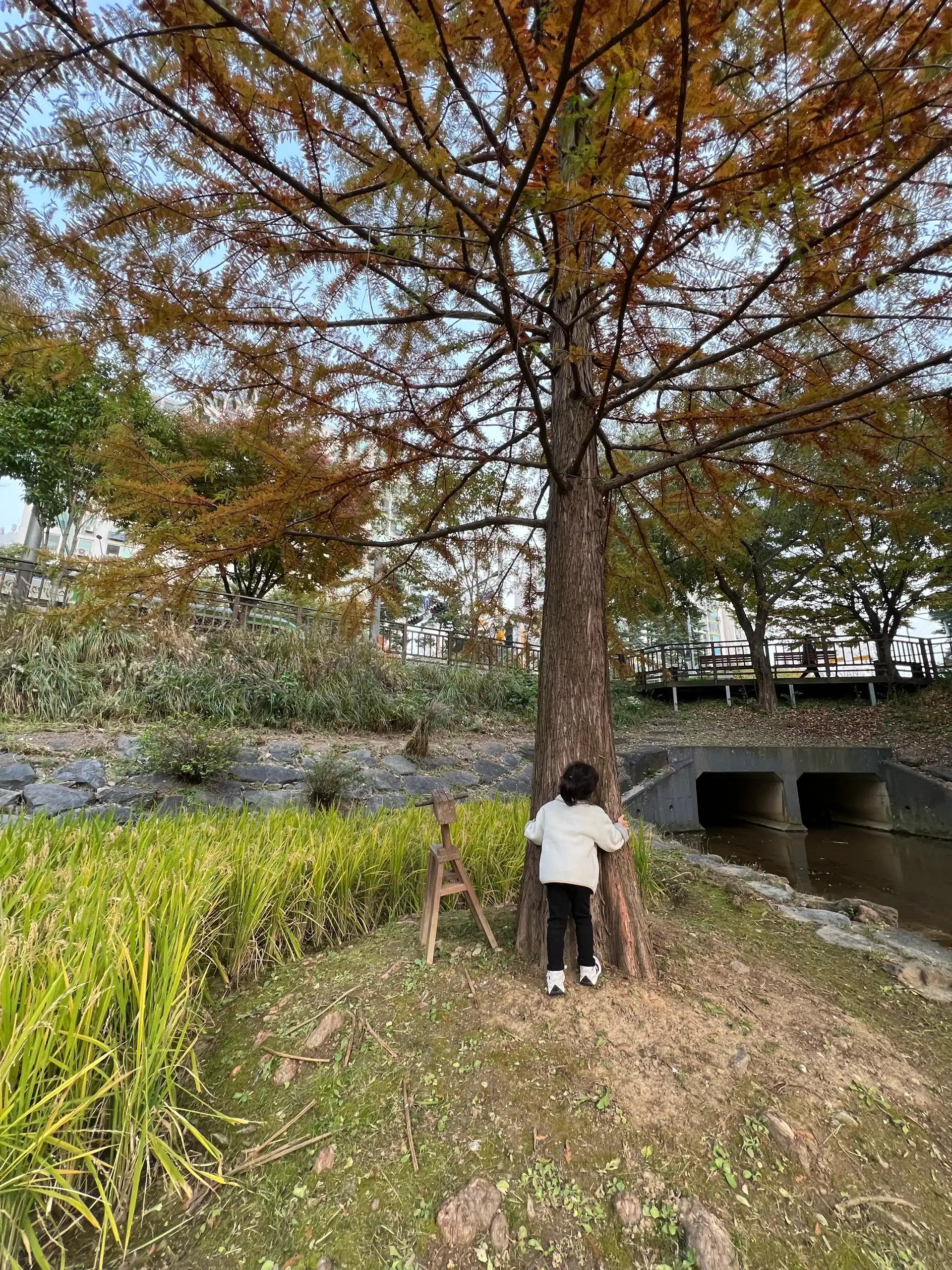 크루톡 이미지 2