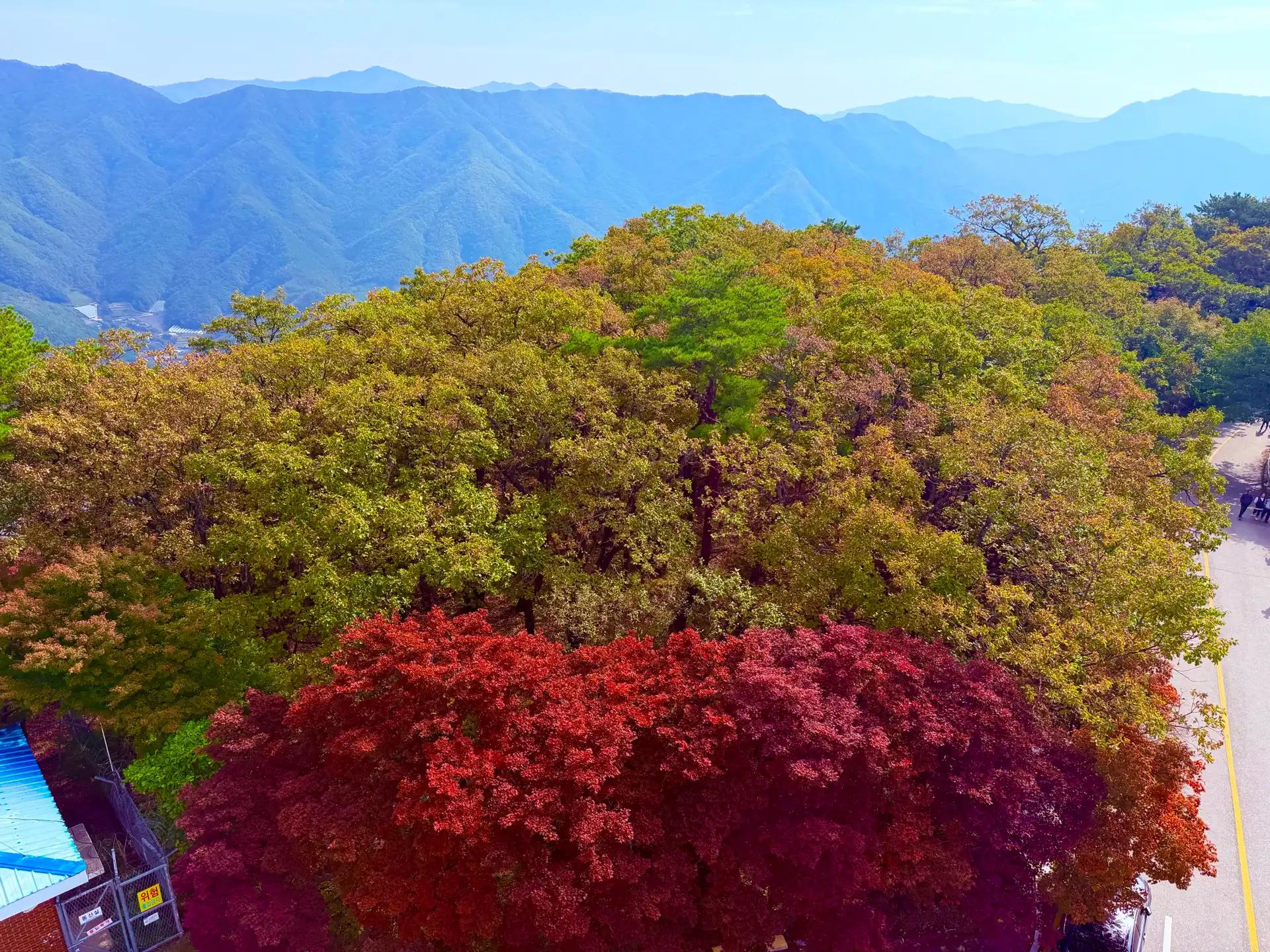 크루톡 이미지 4