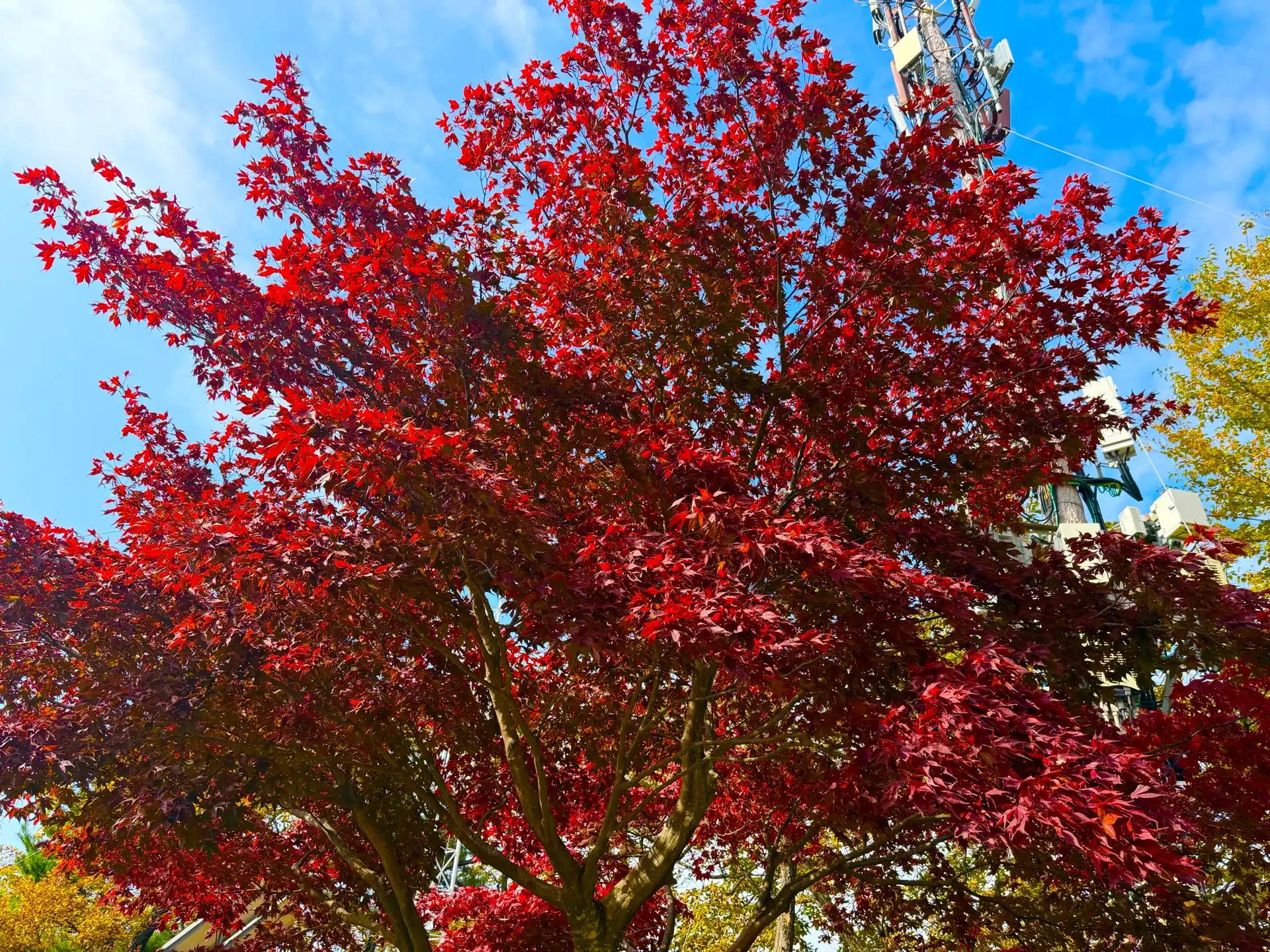 크루톡 이미지 6