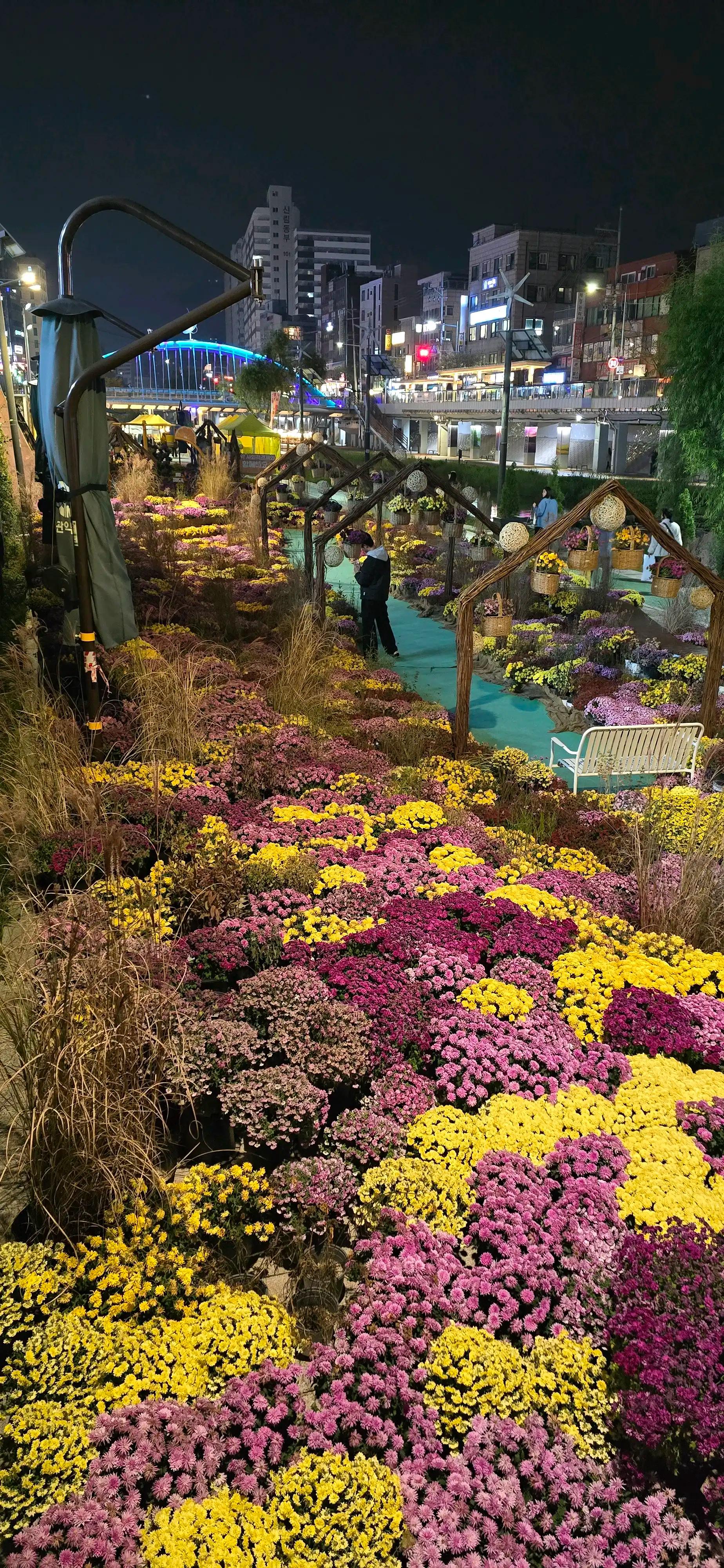 크루톡 이미지 2