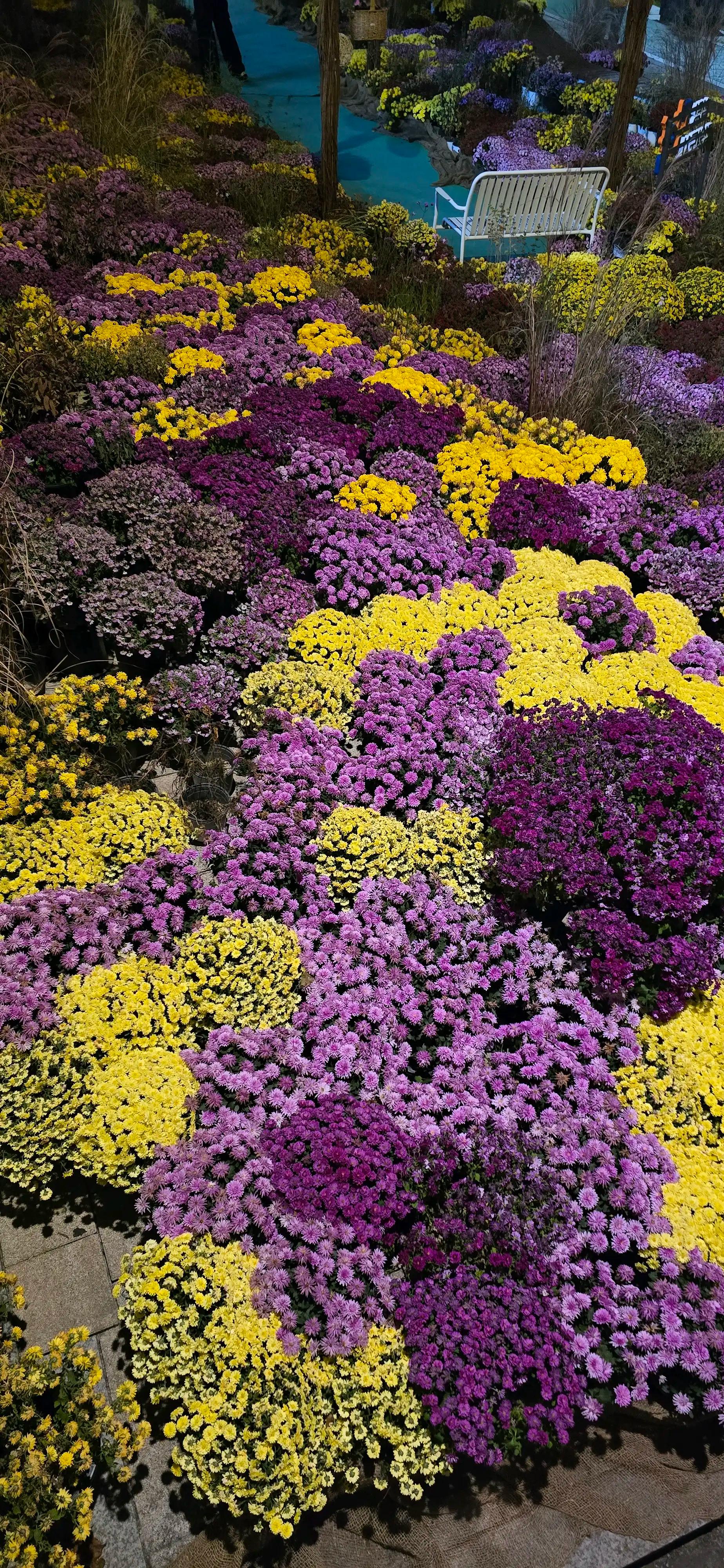 크루톡 이미지 3