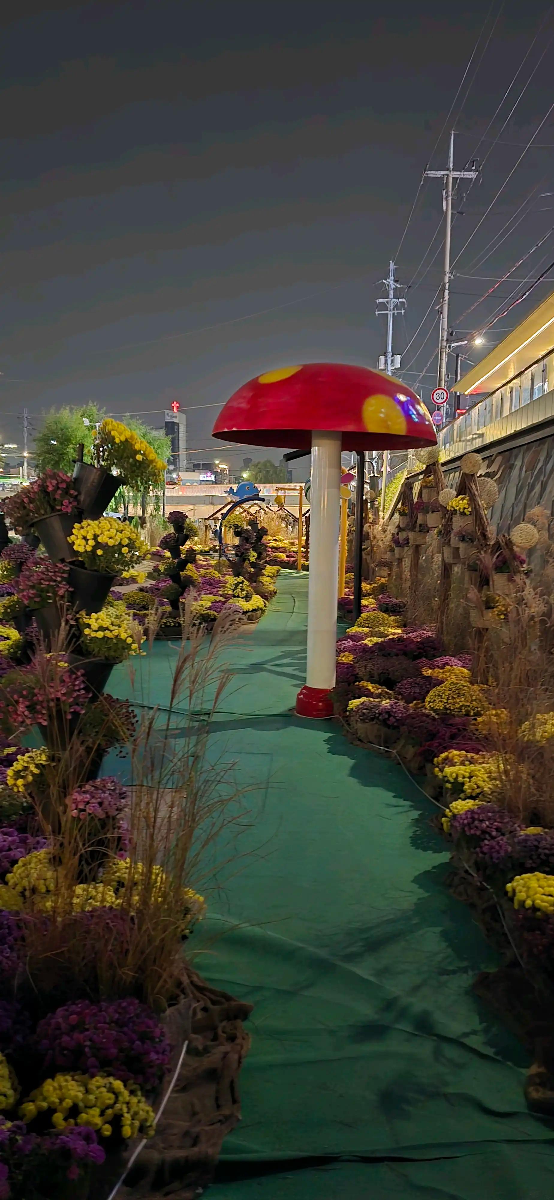 크루톡 이미지 9