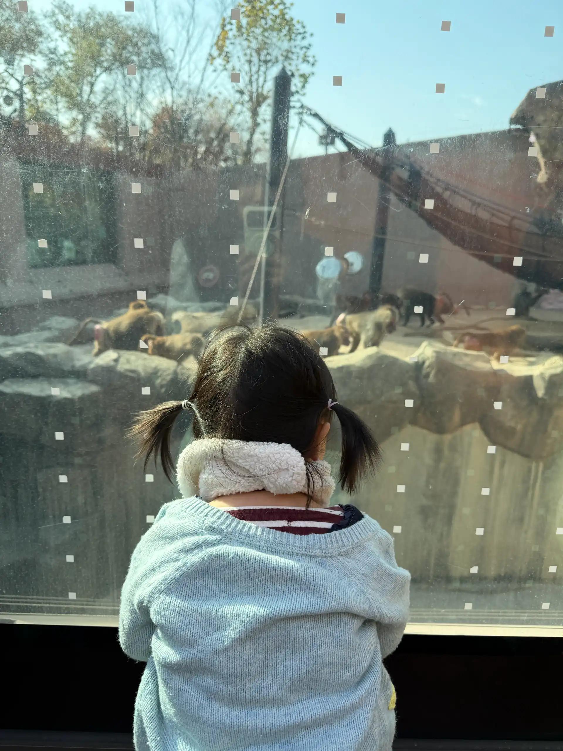 크루톡 이미지 2