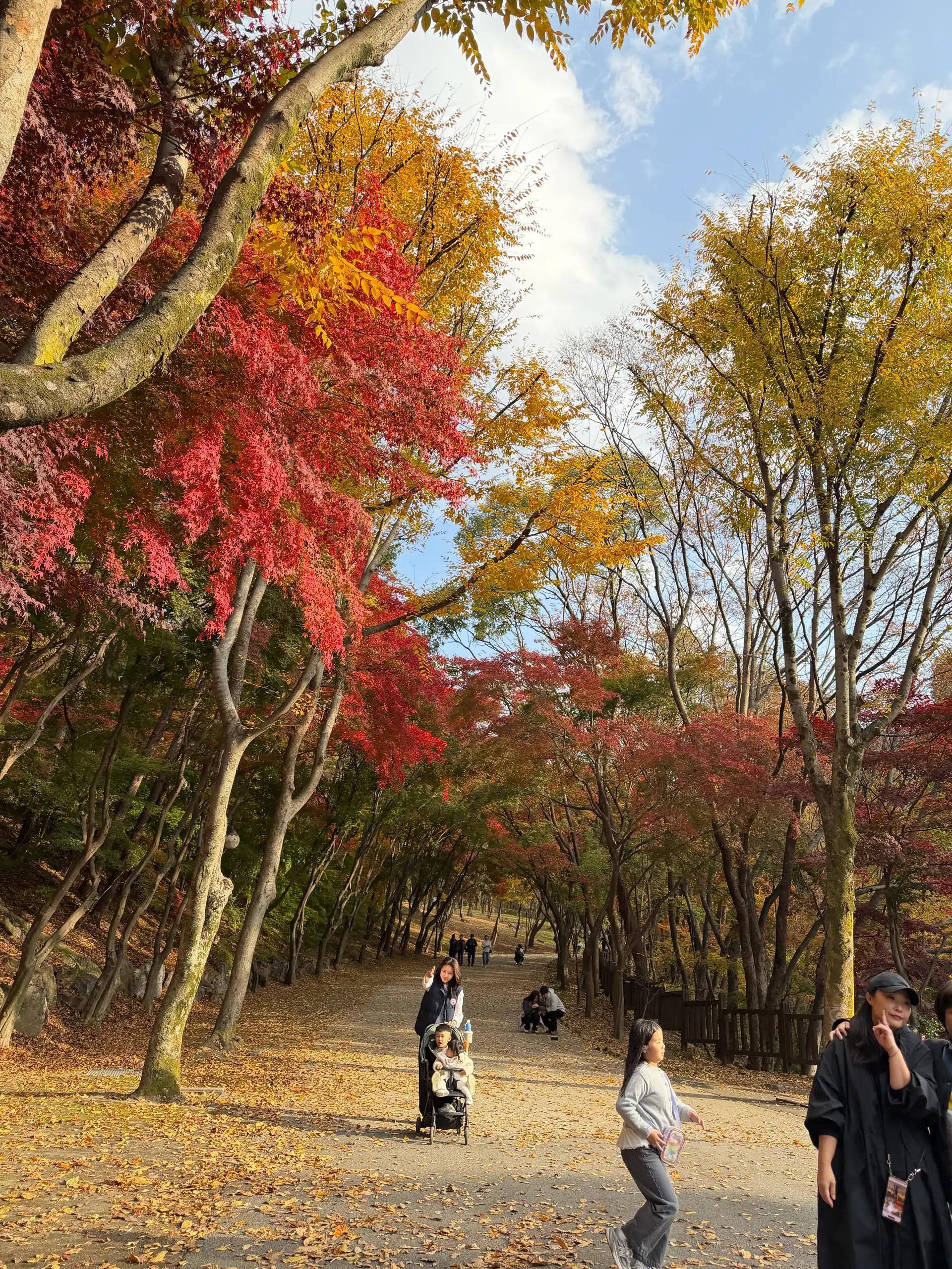 크루톡 이미지 3