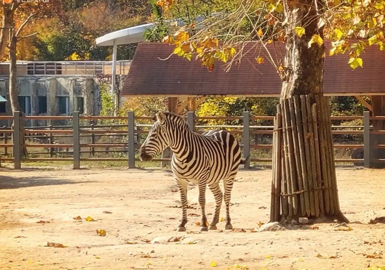 크루톡 이미지 5