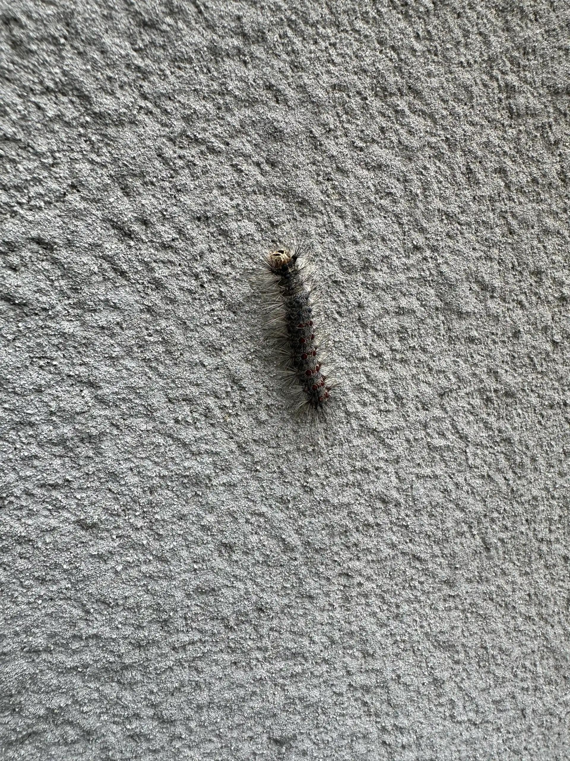 크루톡 이미지 2