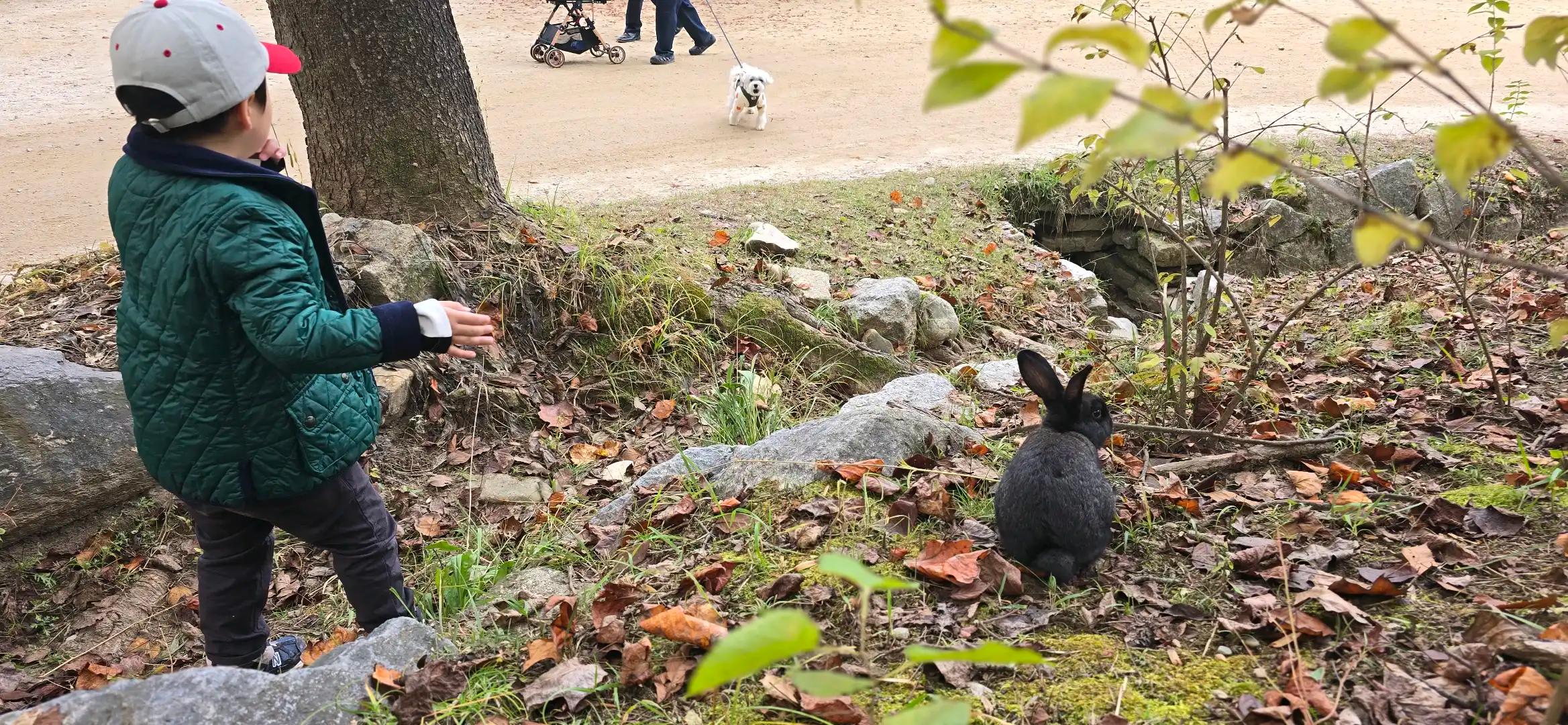 크루톡 이미지 3