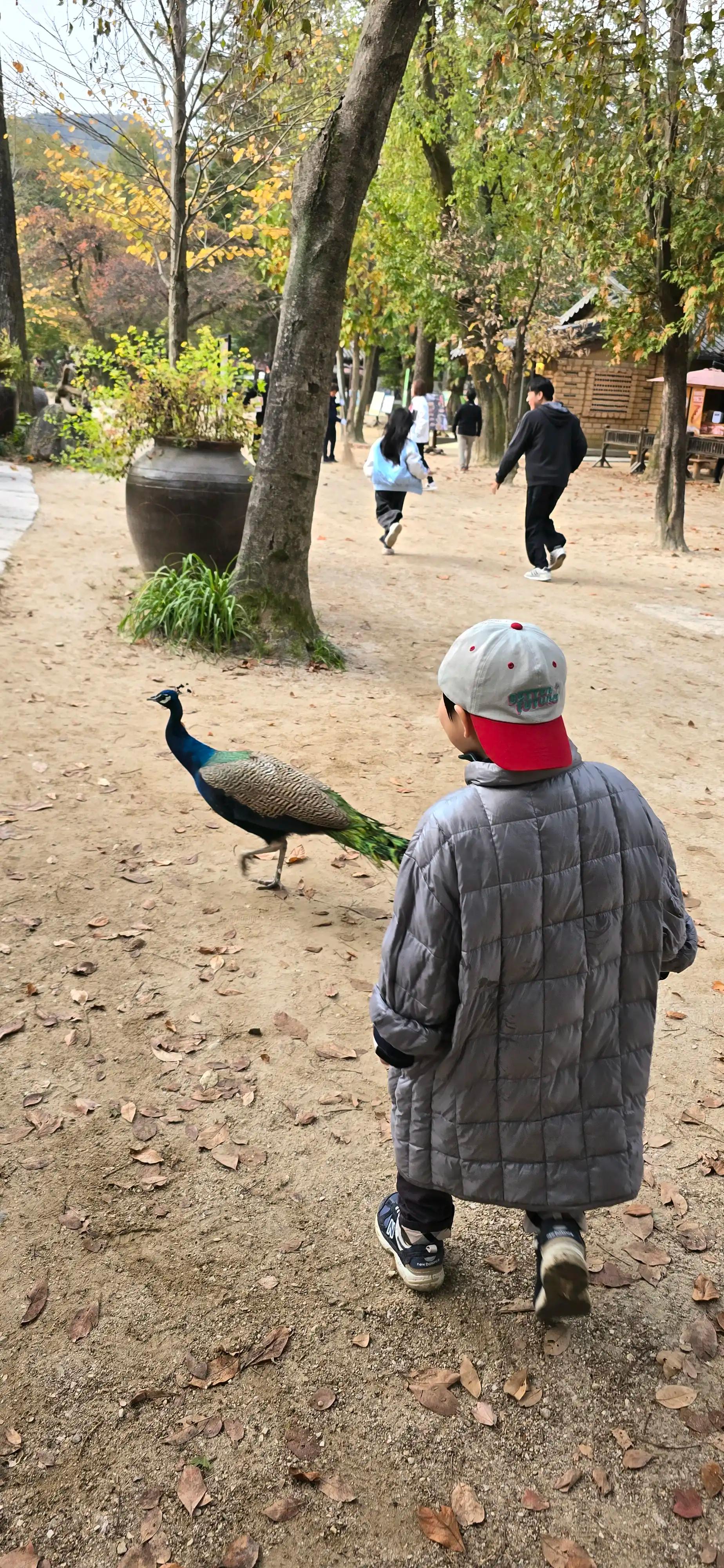 크루톡 이미지 5