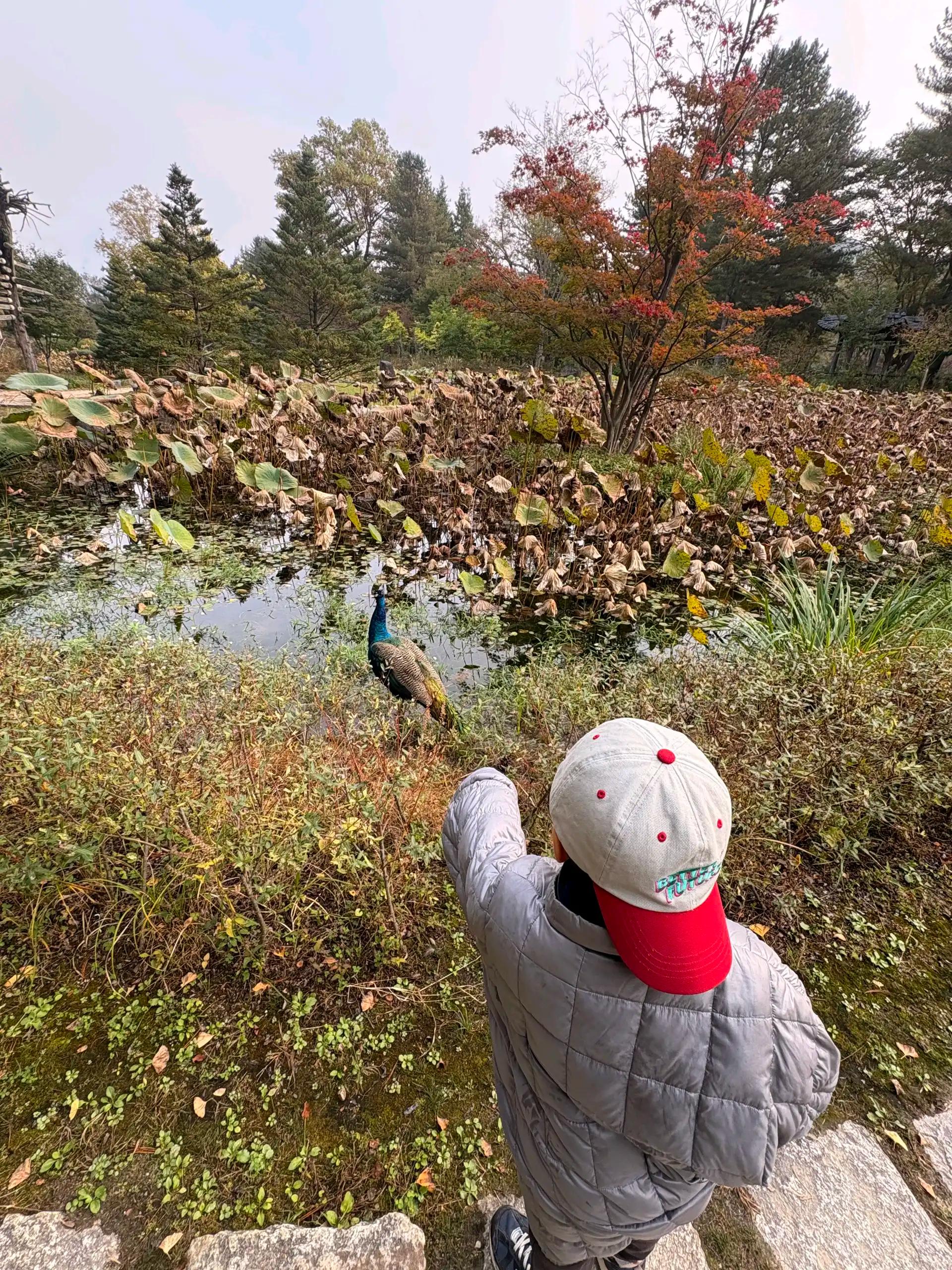 크루톡 이미지 6