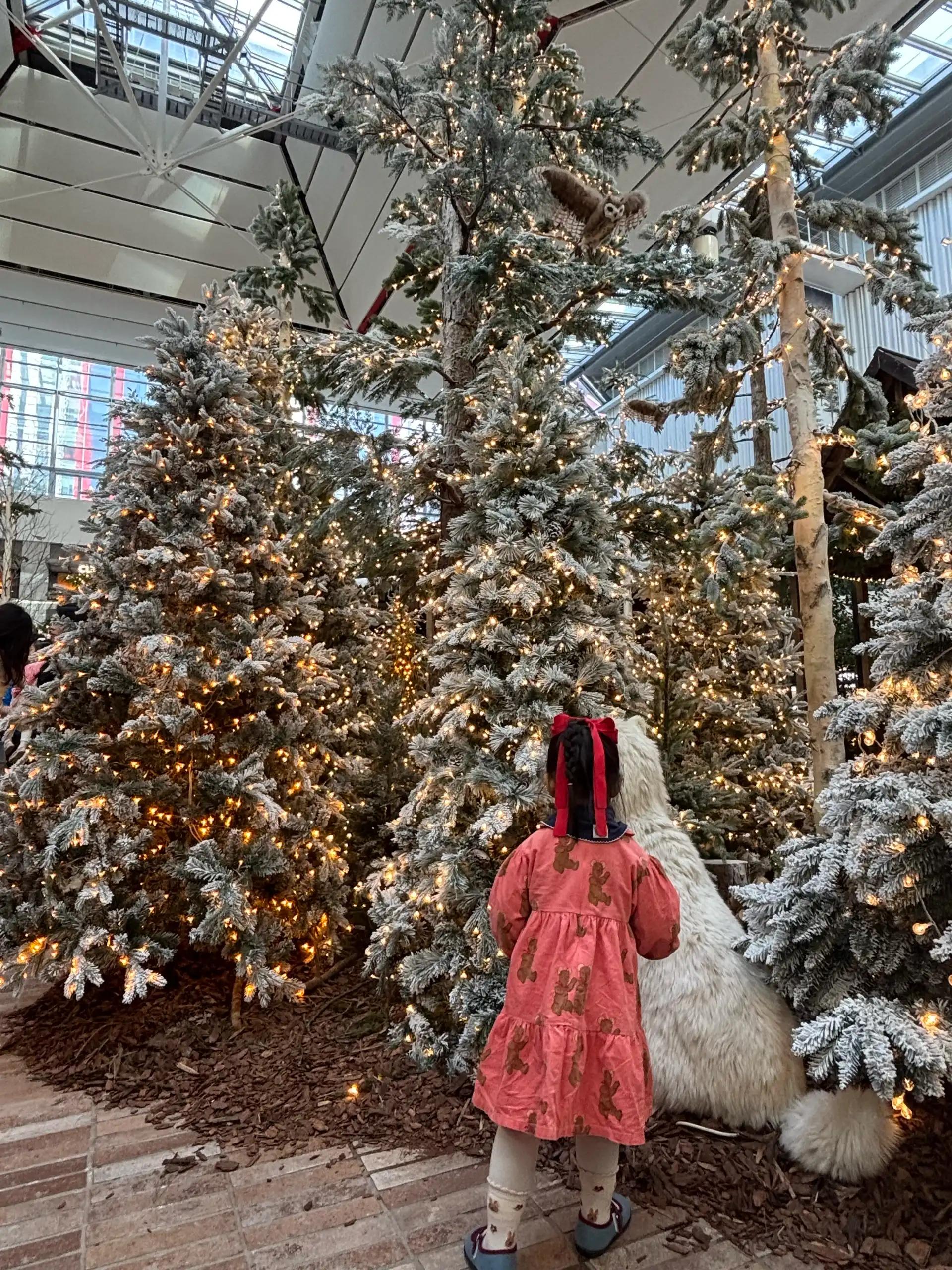 크루톡 이미지 2