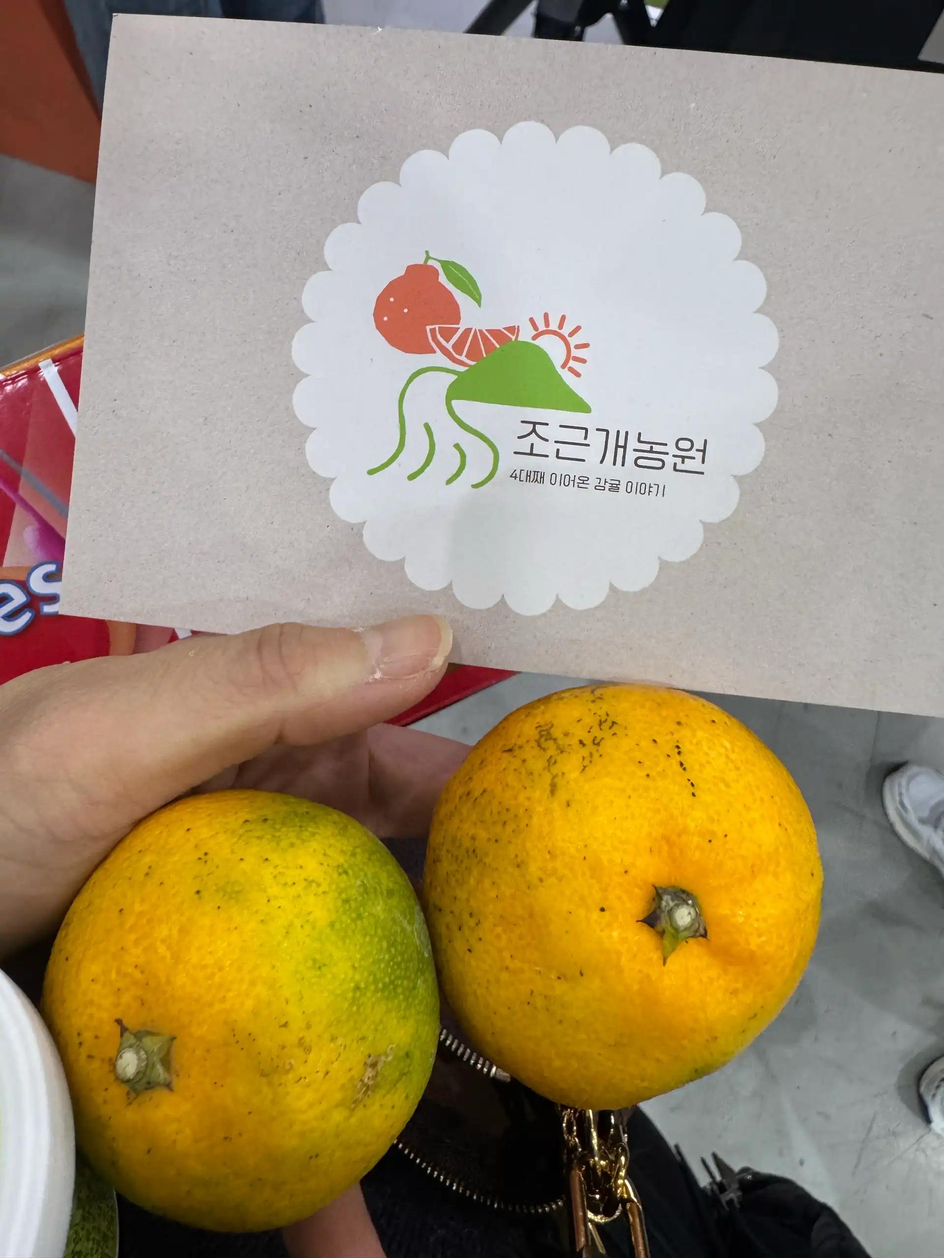 크루톡 이미지 8