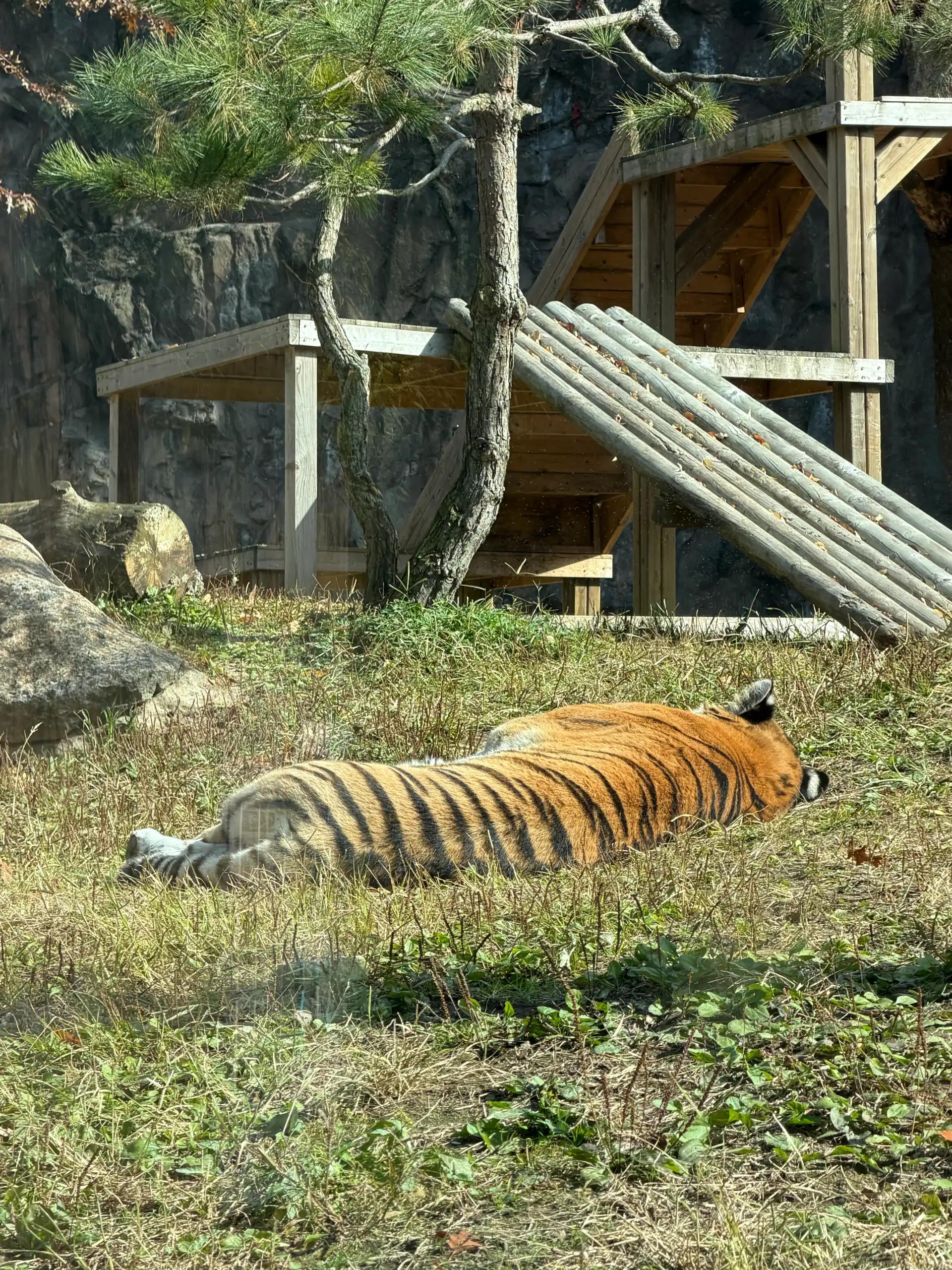 크루톡 이미지 2