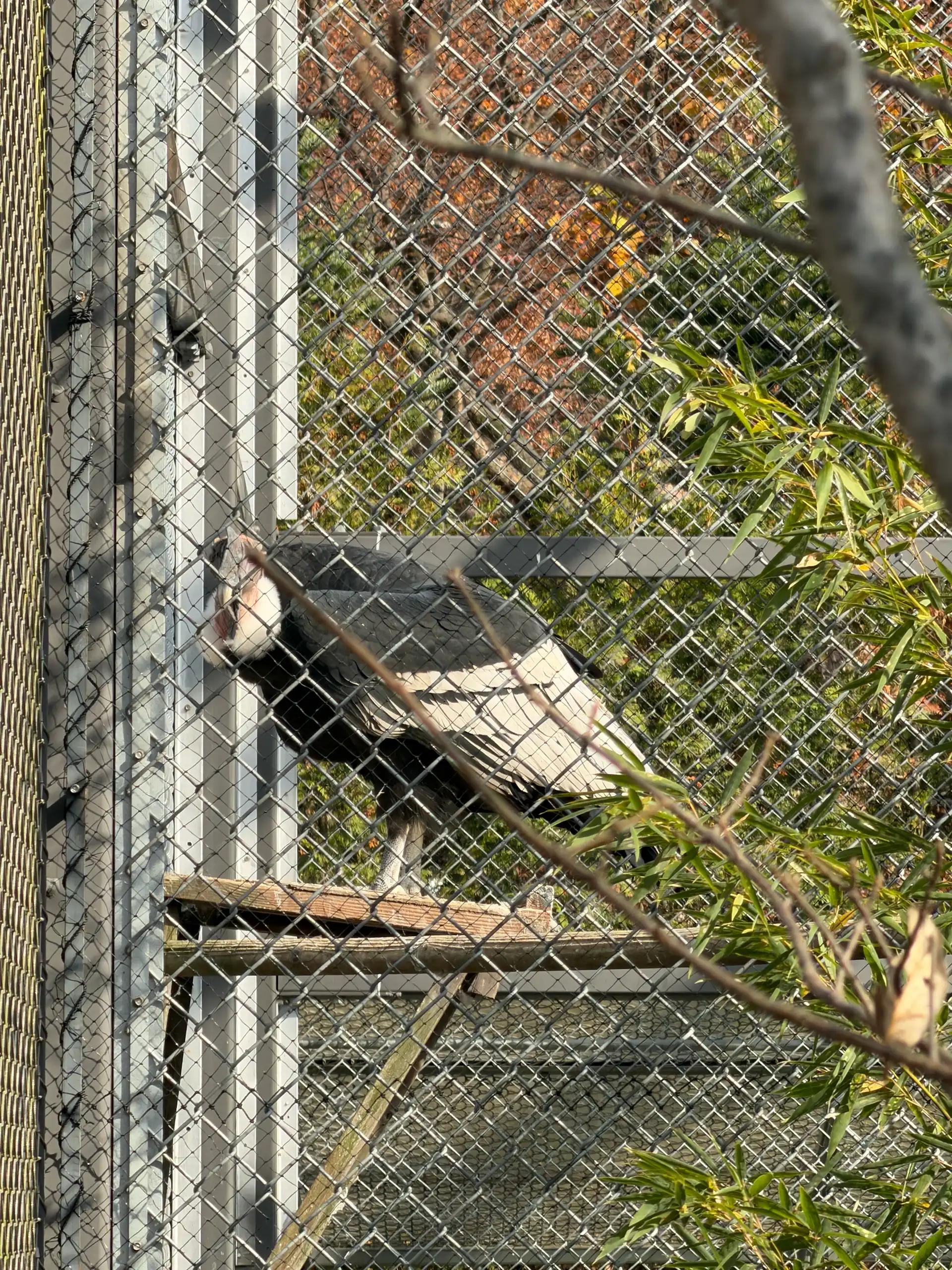 크루톡 이미지 4