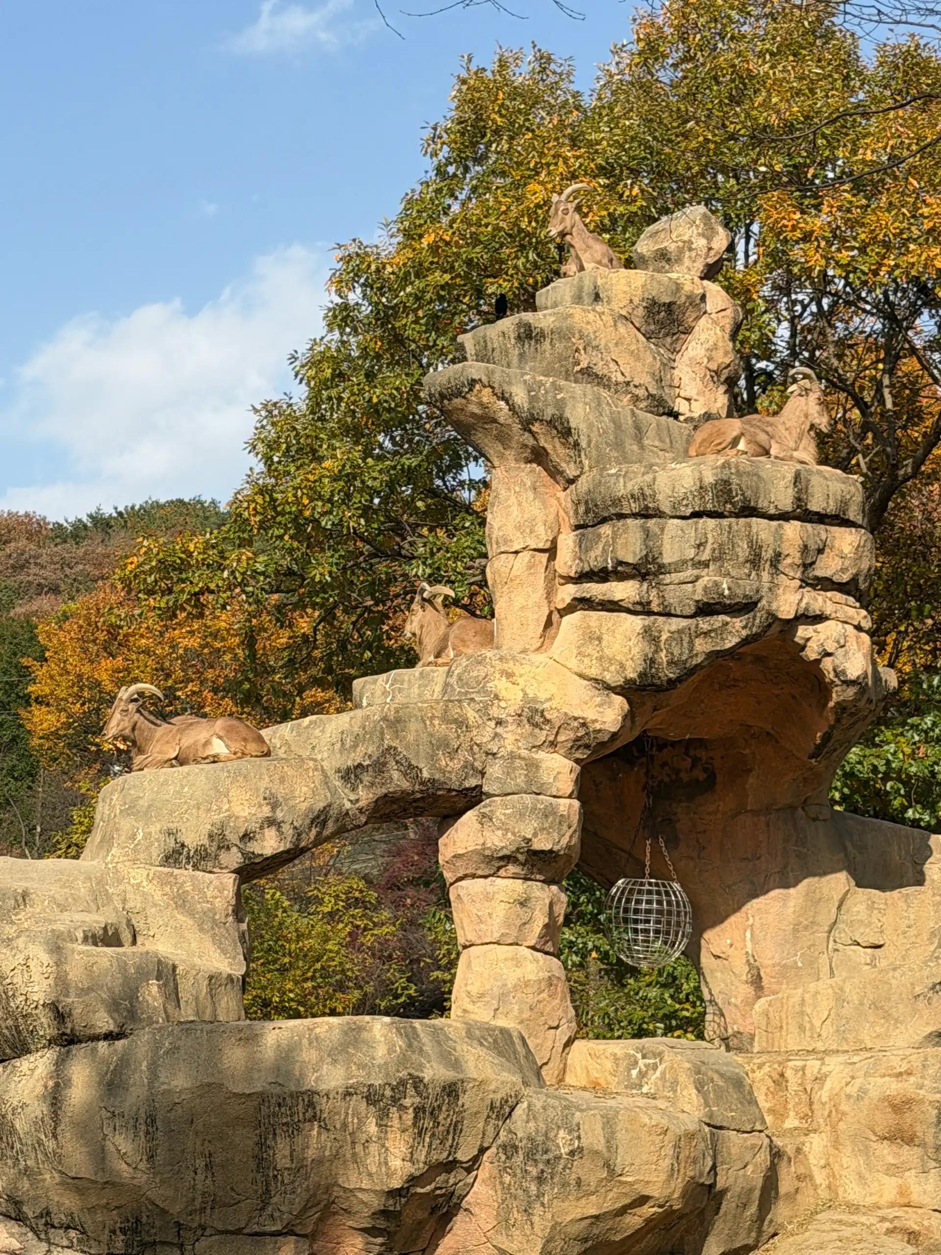 크루톡 이미지 5