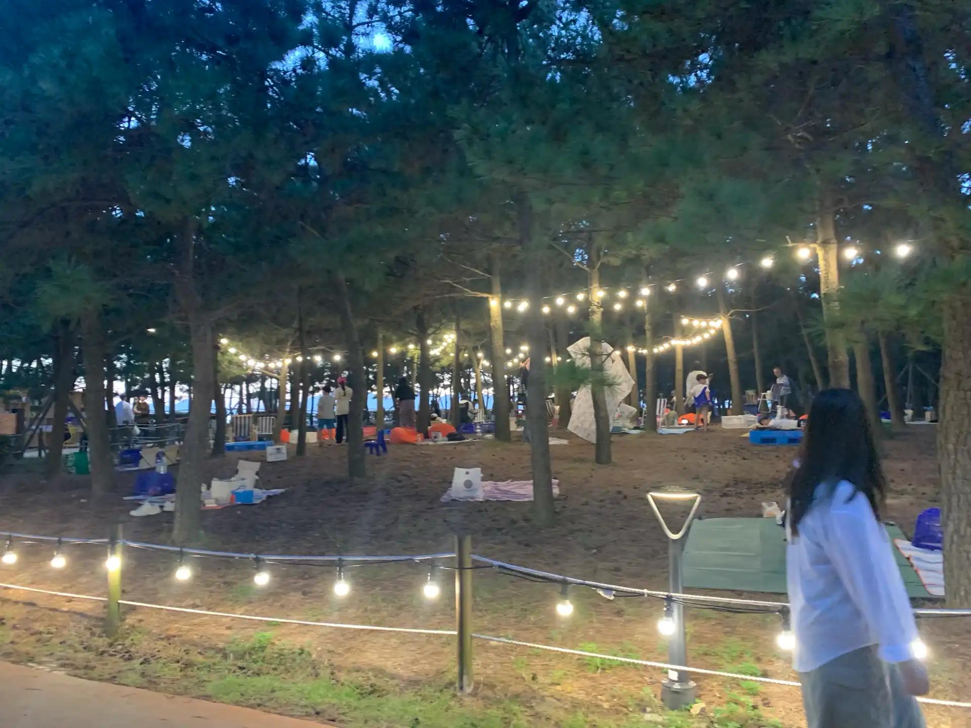 크루톡 이미지 1