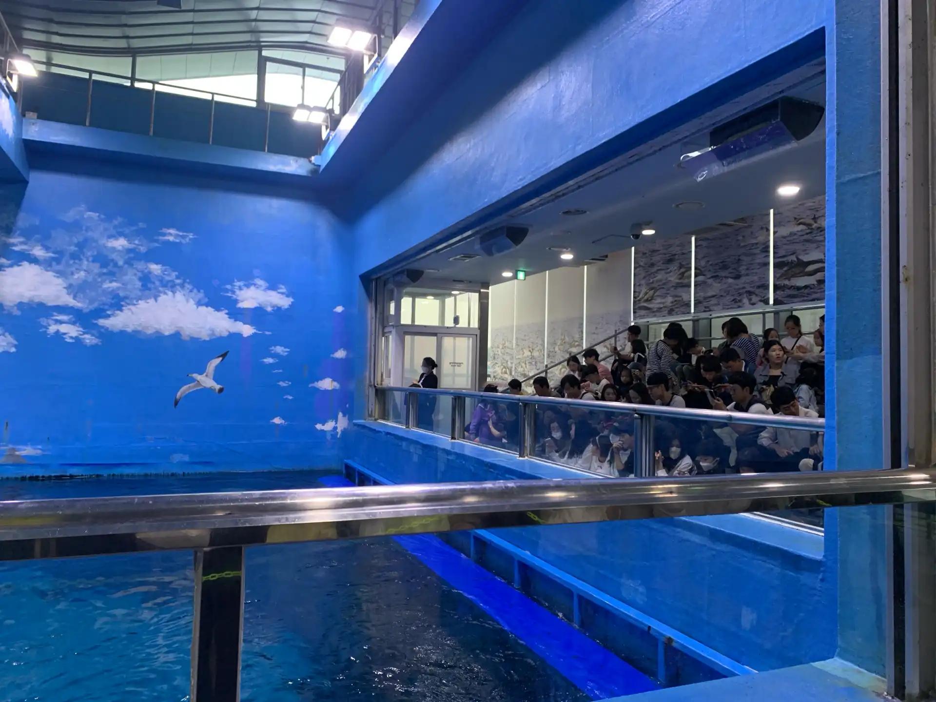 크루톡 이미지 2