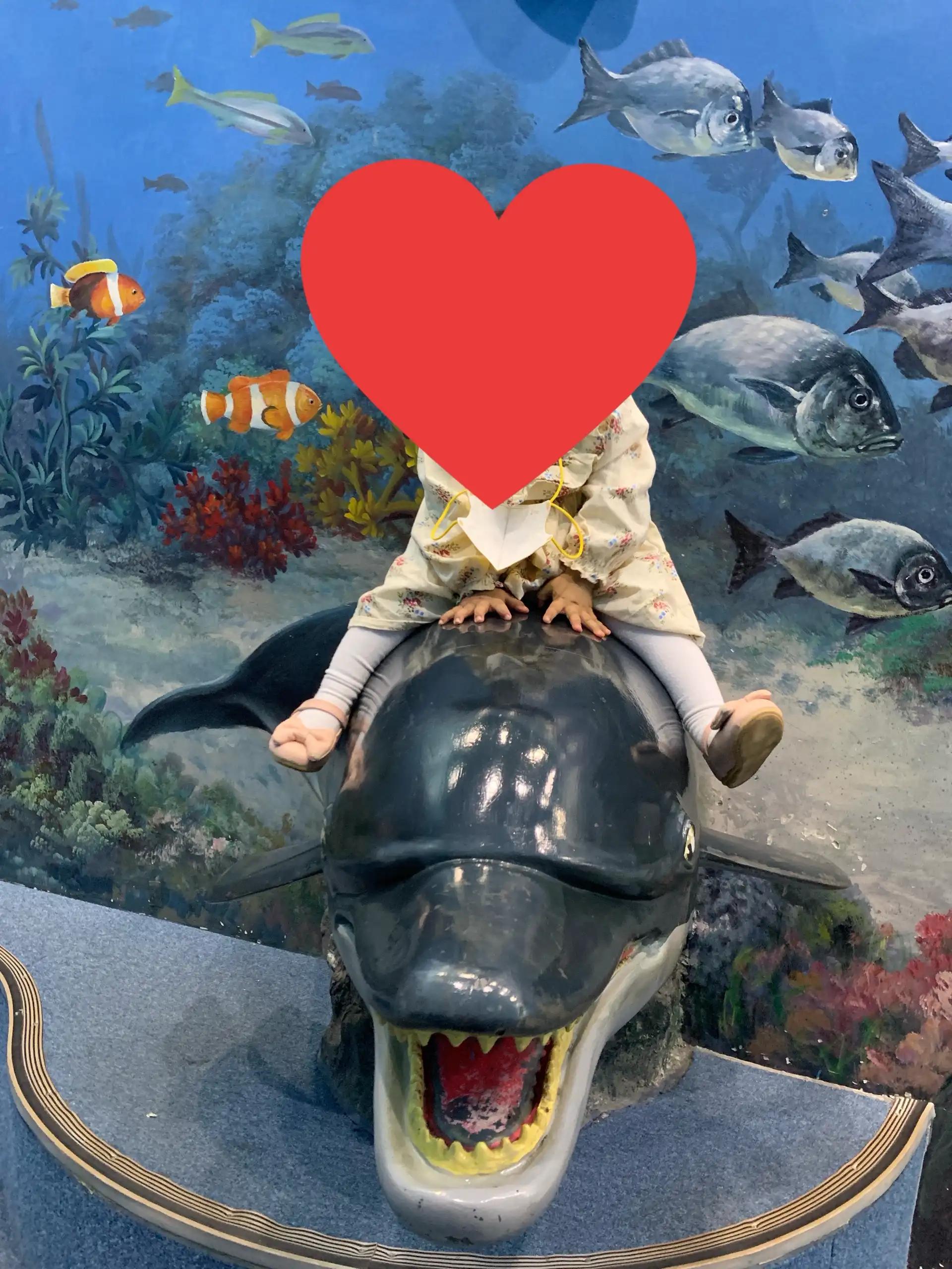 크루톡 이미지 3