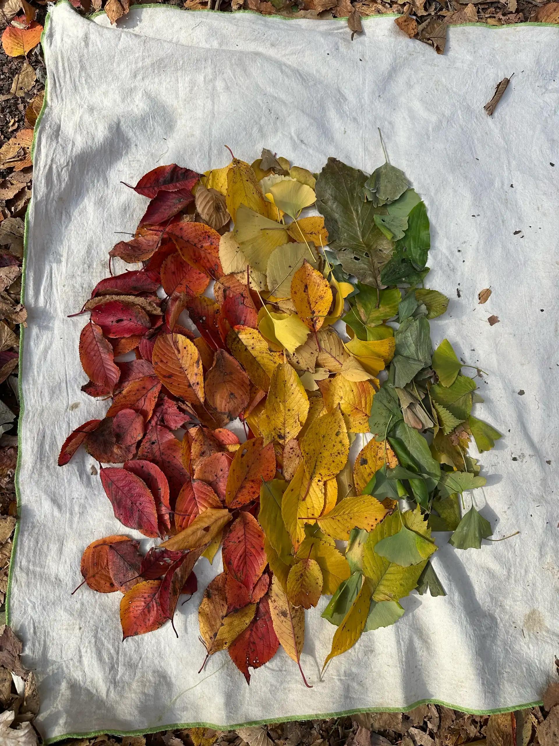 크루톡 이미지 2