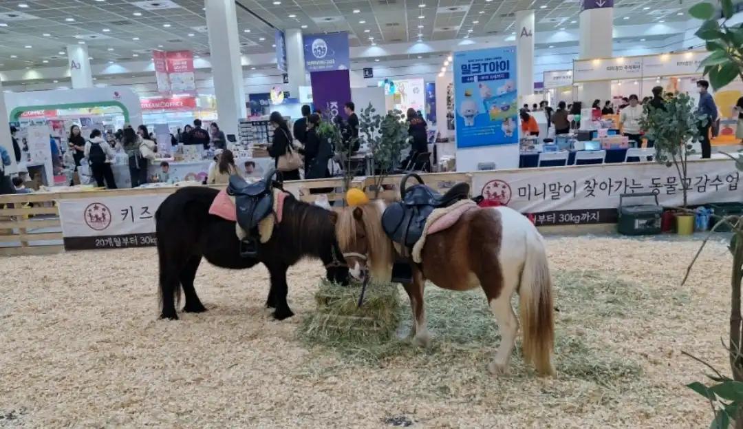 크루톡 이미지 2