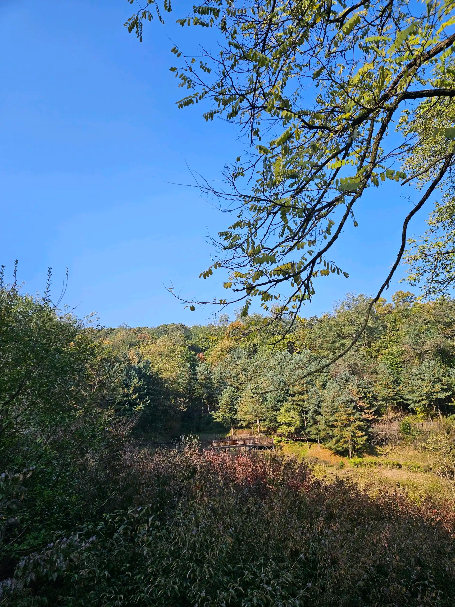 크루톡 이미지 2