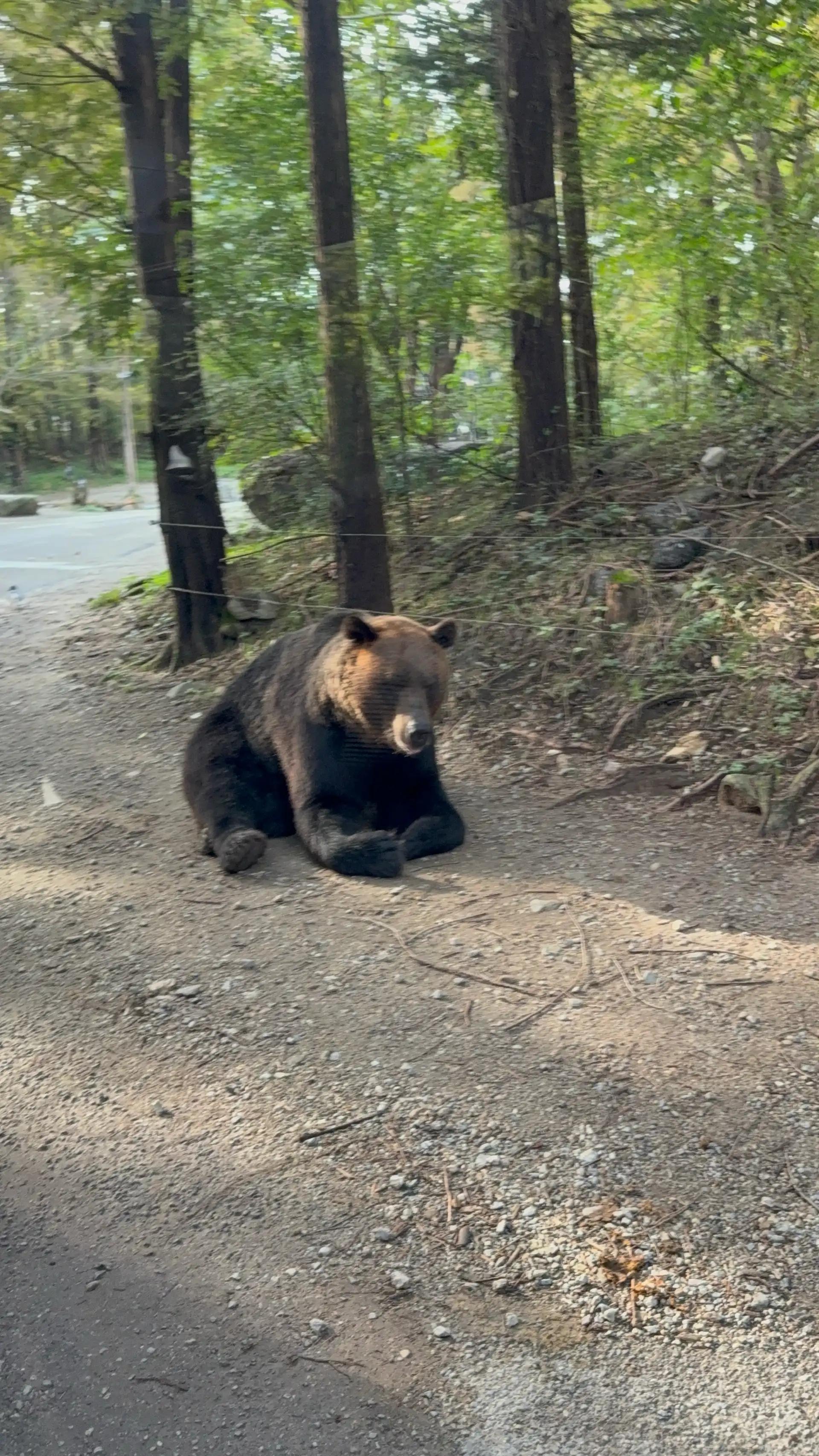 크루톡 이미지 2