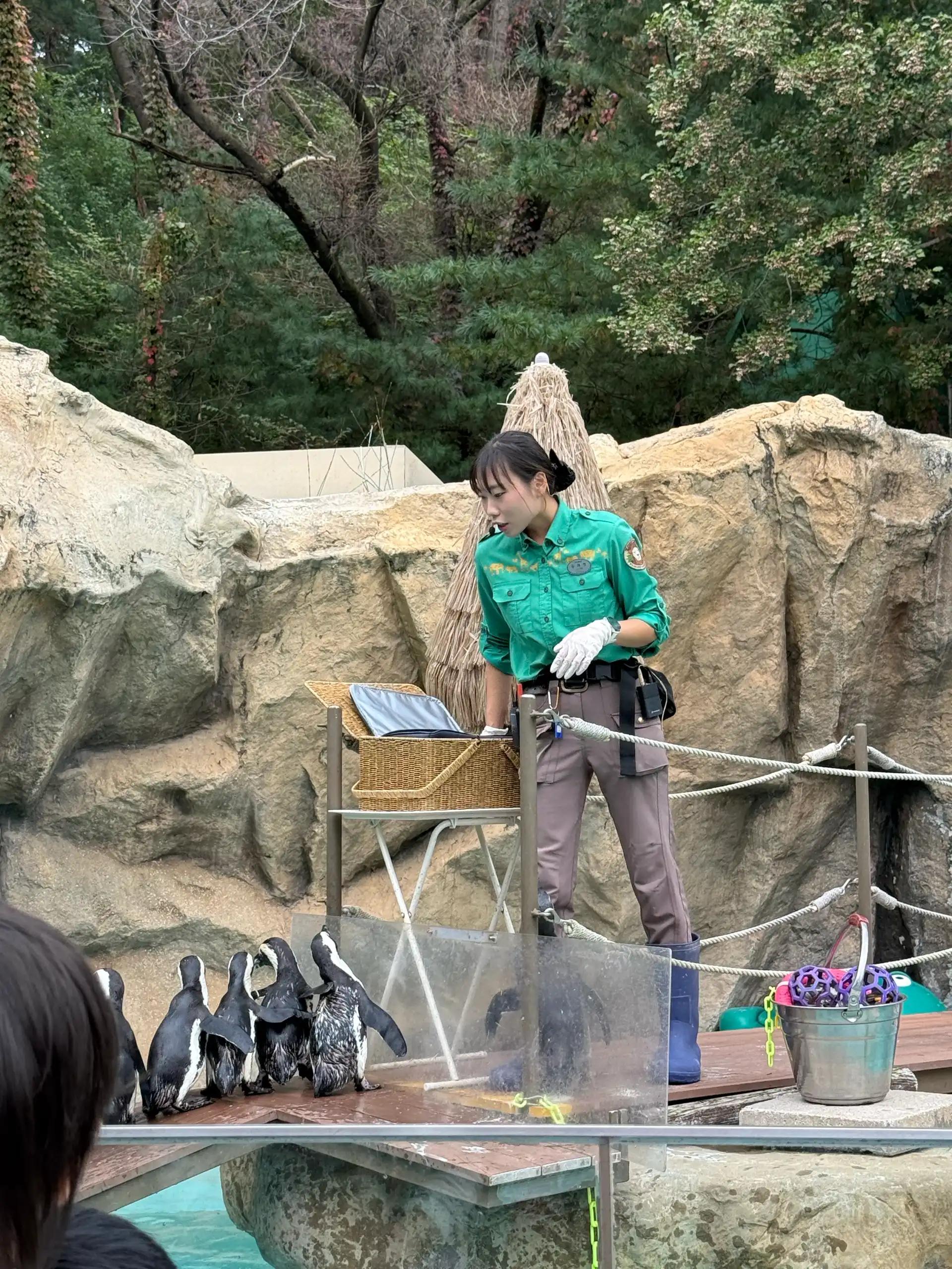 크루톡 이미지 3