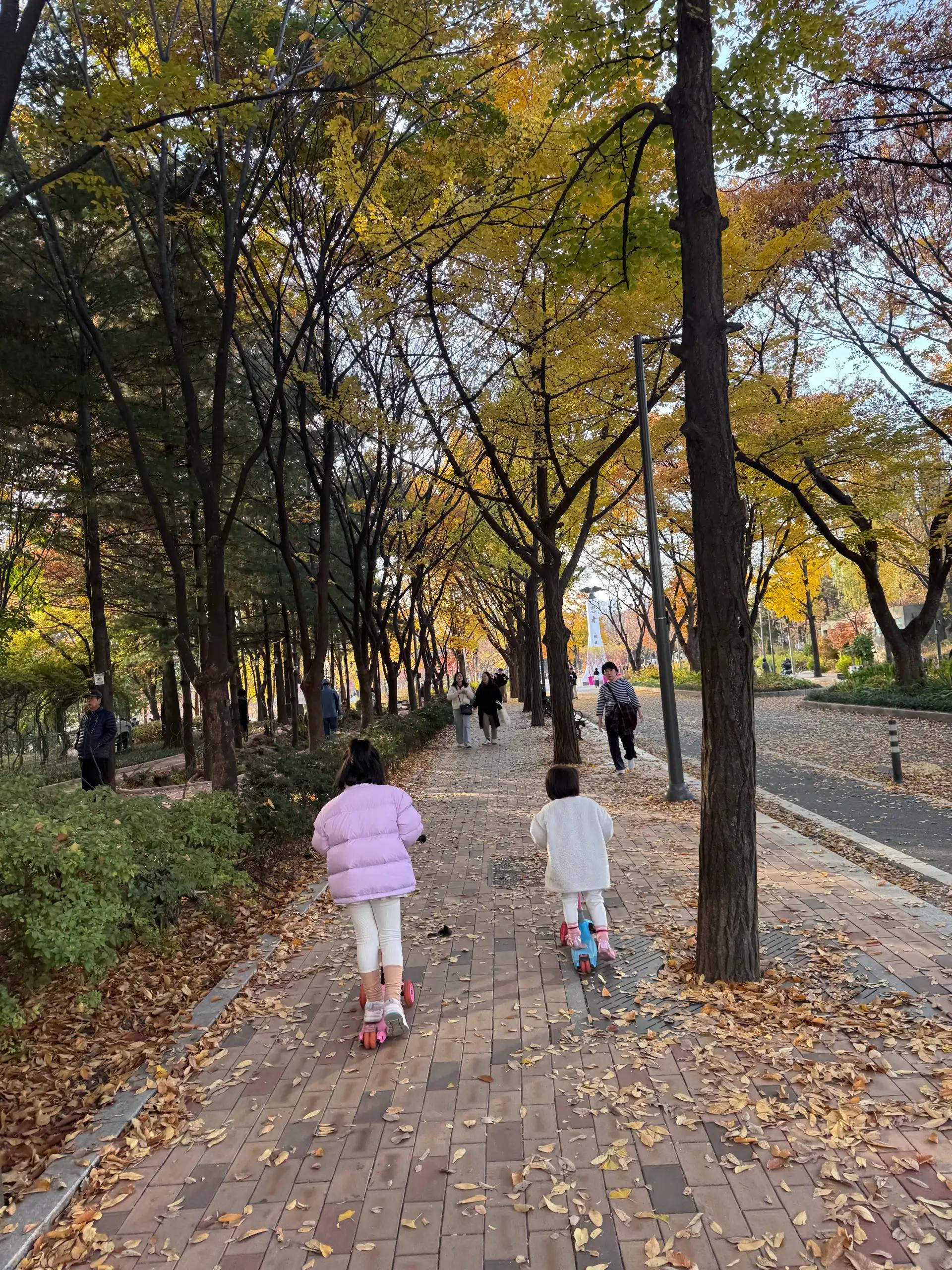 크루톡 이미지 2