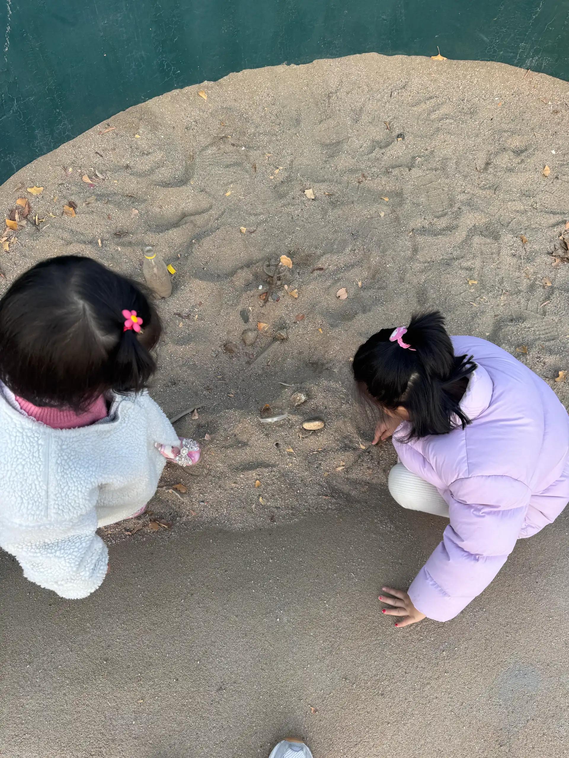 크루톡 이미지 4