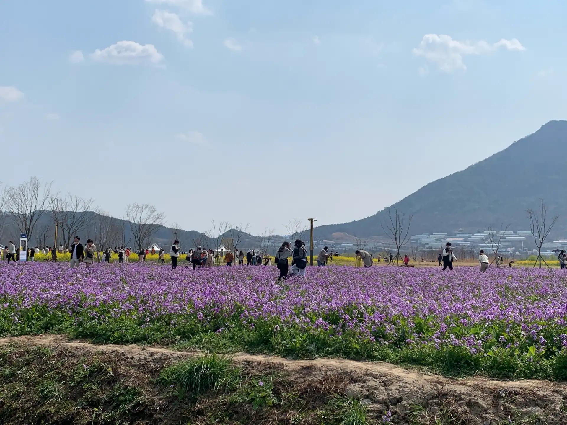 크루톡 이미지 2