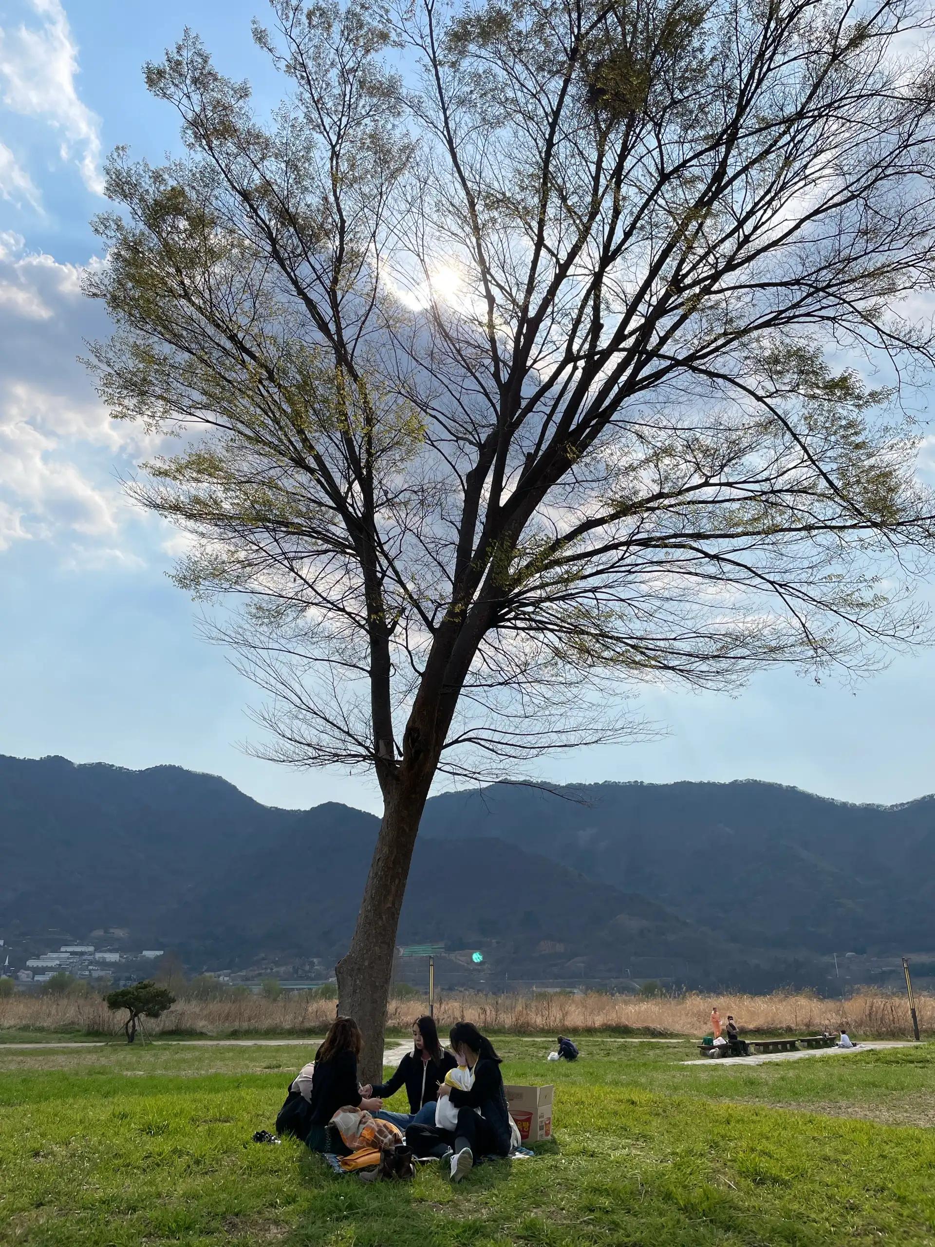 크루톡 이미지 3