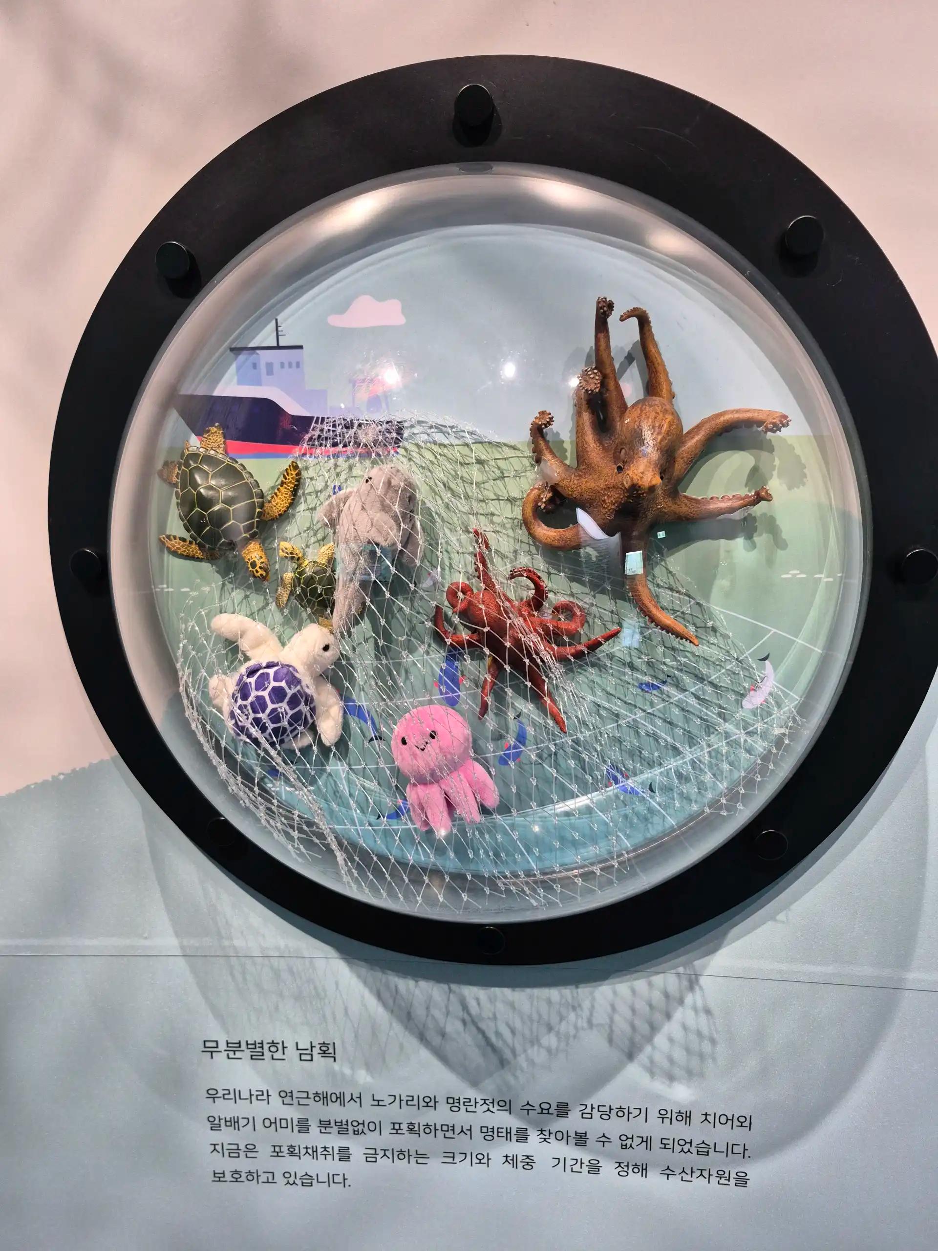 크루톡 이미지 2