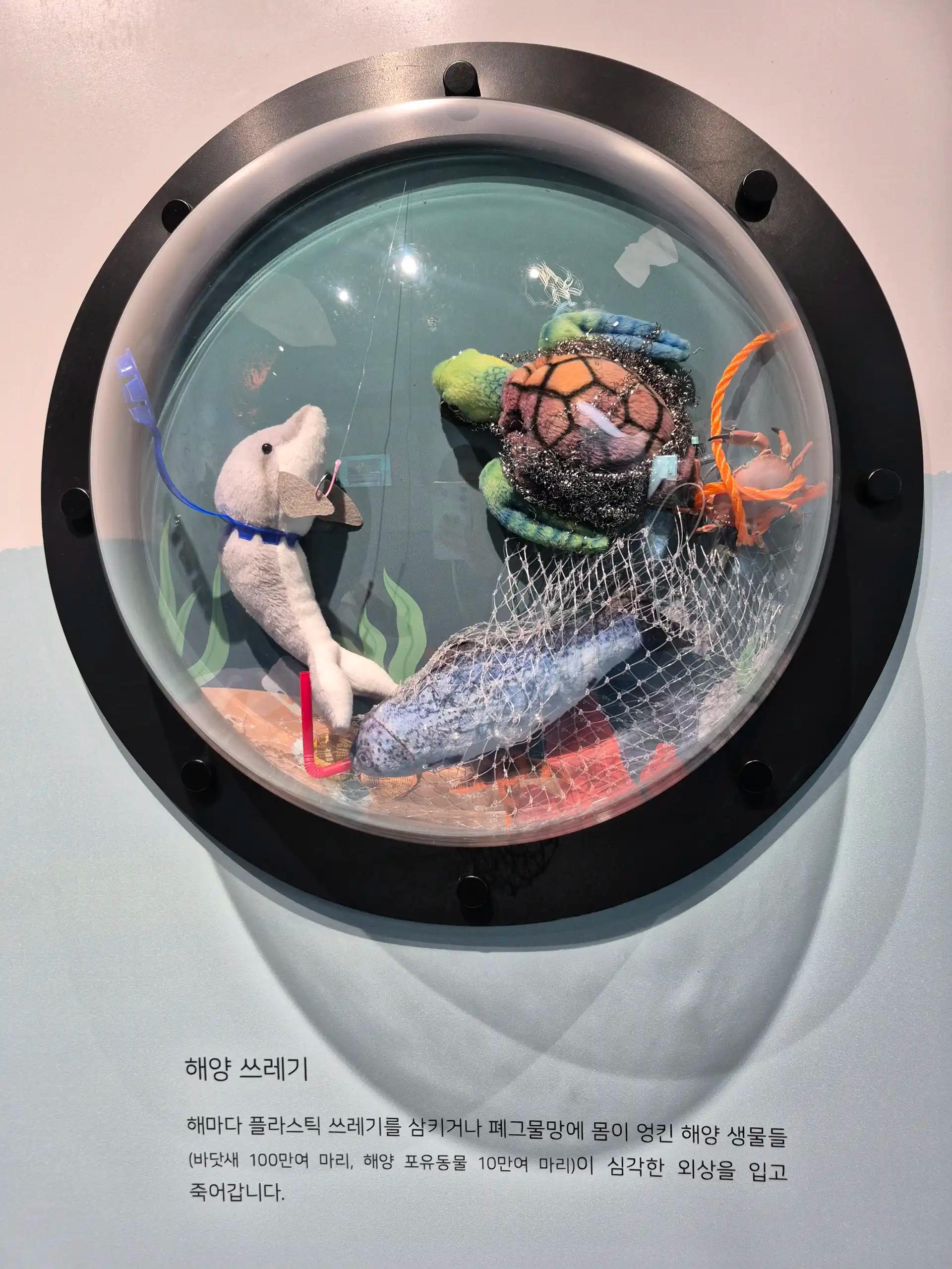 크루톡 이미지 3