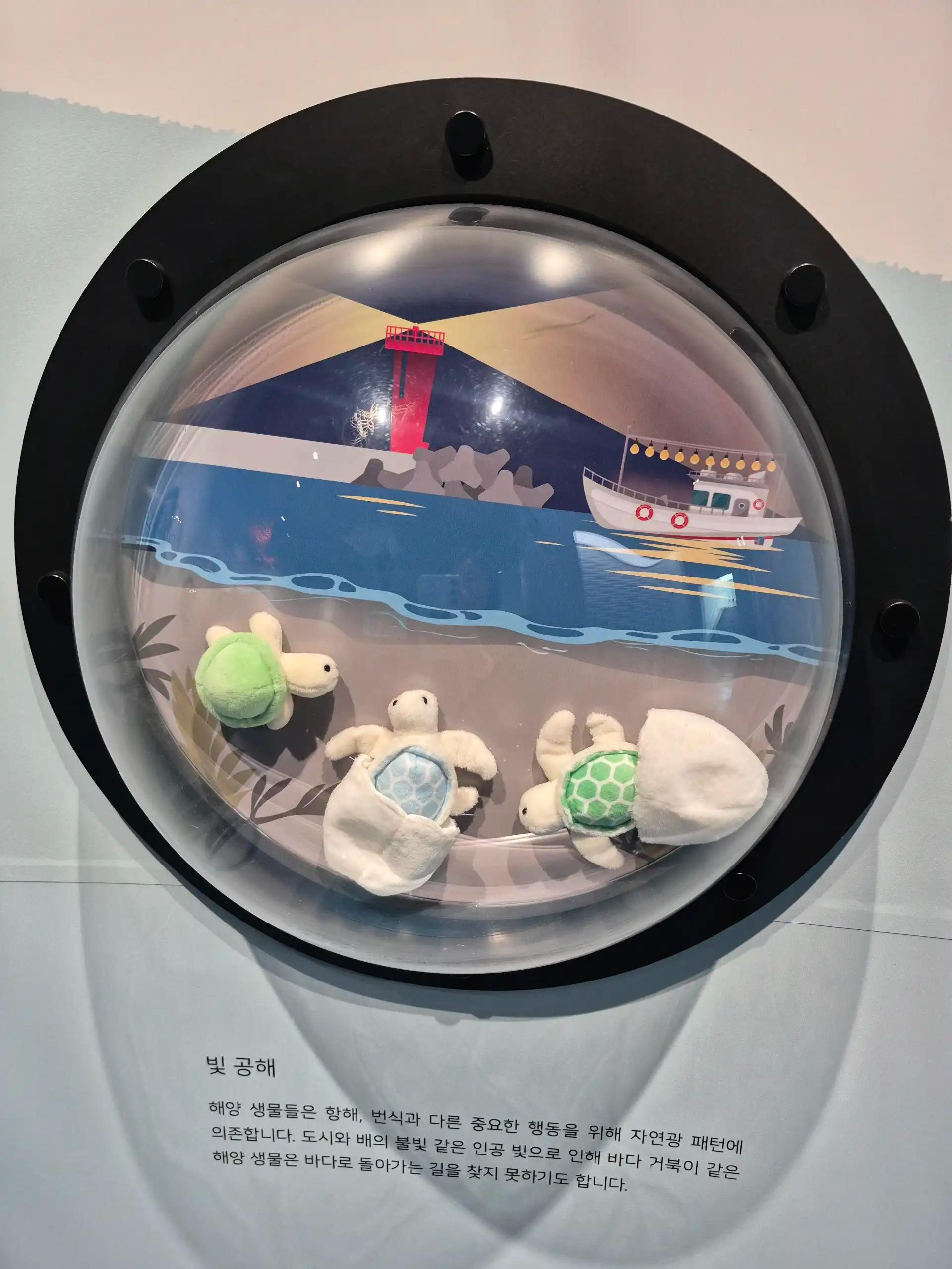 크루톡 이미지 4